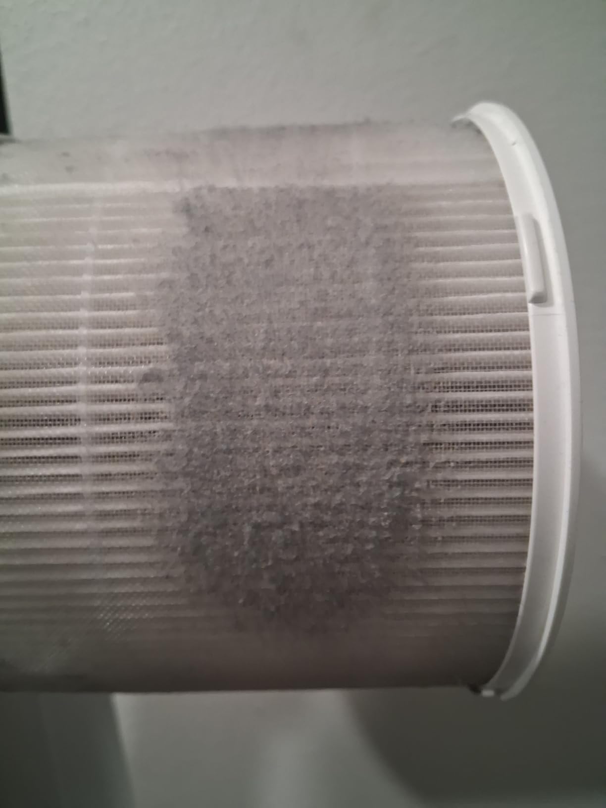 Clorox Small Room Air Purifiers for Bedroom Home, True HEPA Filter | 200 Sq Ft | Reduces 99.9% of Mold, Viruses, Wildfire Smoke, Allergens, Pet Allergies, Dust | Auto Mode | Whisper Quiet customer photo 1