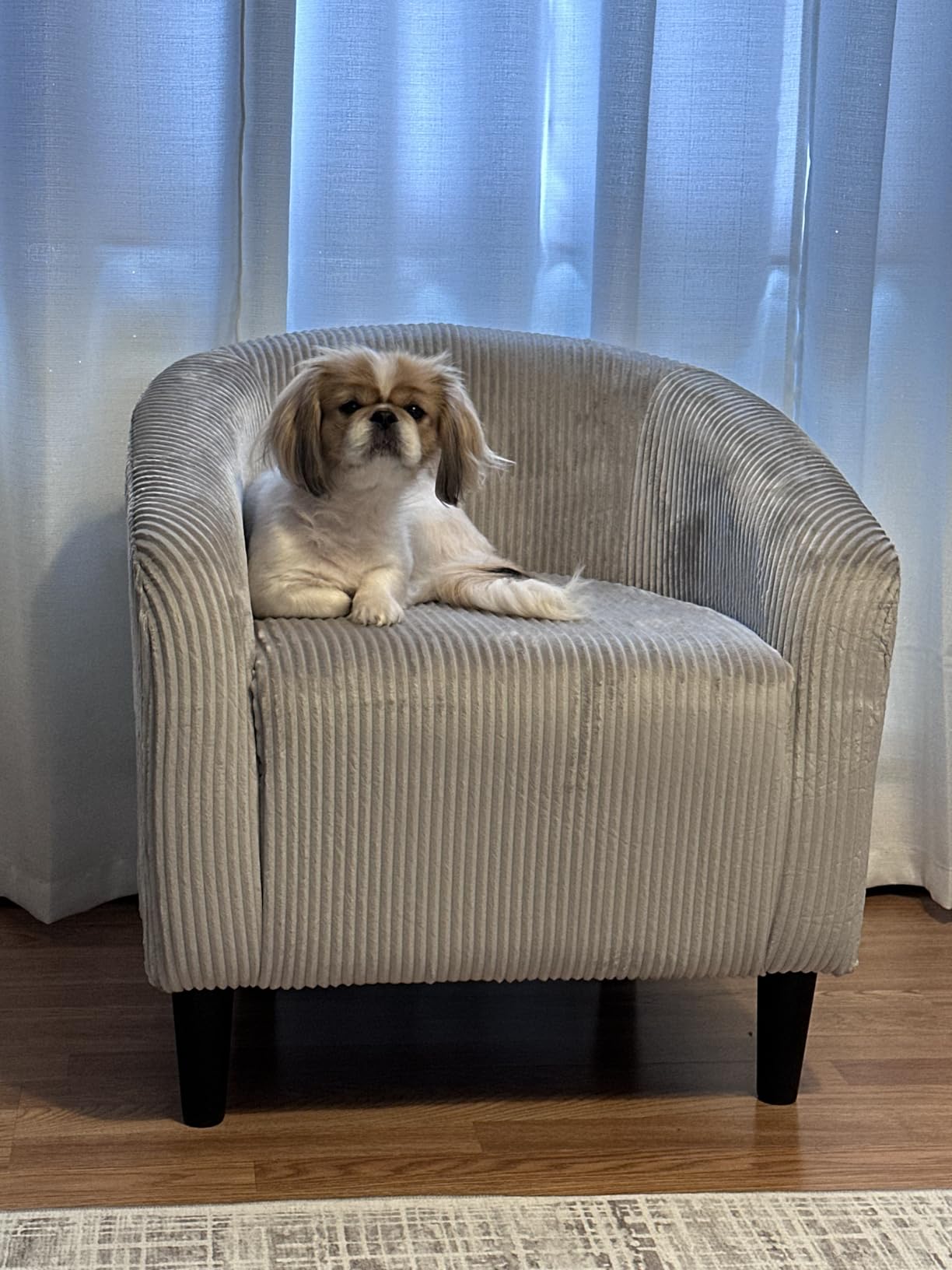 Yaheetech Accent Barrel Chair, Boucle Fabric Club Chair, Furry Sherpa Elegant Armchair with Cozy Soft Padded, Suitable for Living Room Bedroom Reception Room Office, Ivory customer photo 2