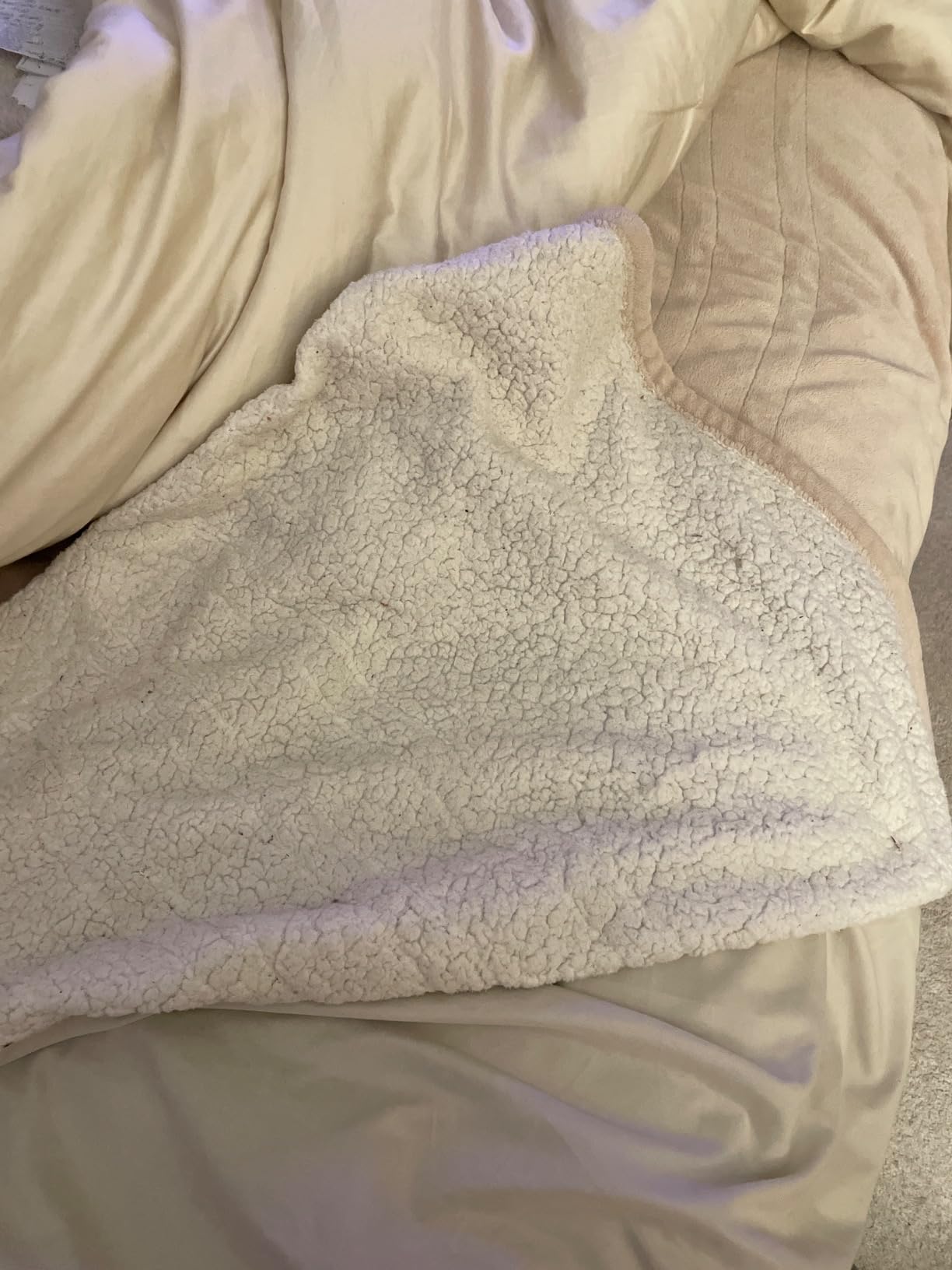Sealy Electric Blanket King Size, Flannel & Sherpa Heated Blanket with 10 Heating Levels & 1-12 Hours Auto Shut Off, Fast Heating Warming Blanket, Machine Washable, Beige, 100 x 90 Inch customer photo 1