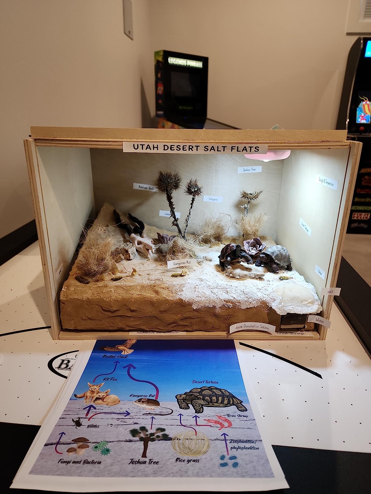 iLAND Wooden Diorama Box Large Display Boxes for Collectibles Figures Miniatures and a Dollhouse Room Box Unfinished 15.7