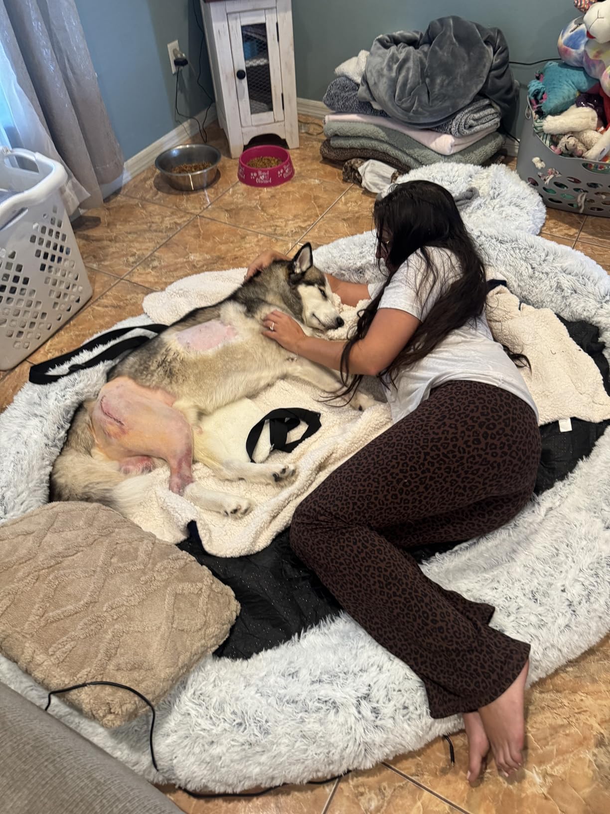WROS Human Dog Bed - 71