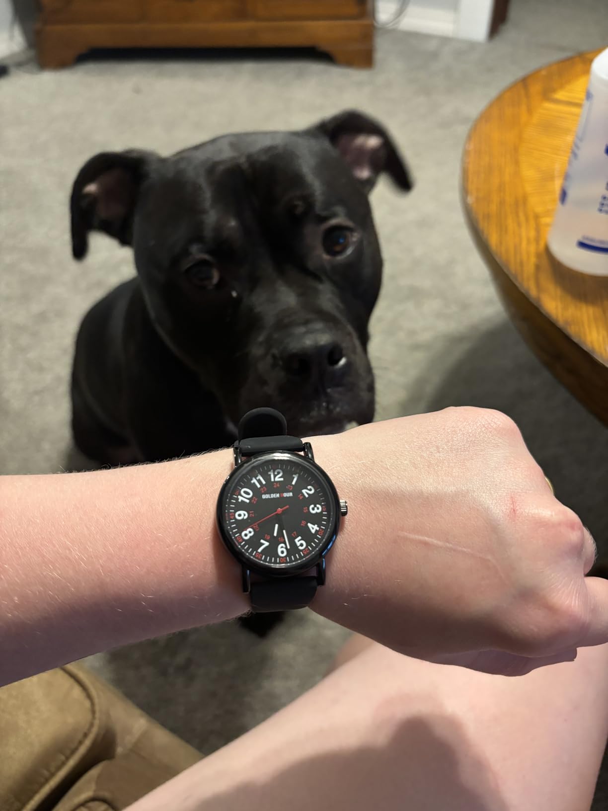 Waterproof Nurse Watch for Medical Professionals, Students Women Men - Military Time Luminous Easy Read Dial, 24 Hour with Second Hand, Colorful Silicone Band customer photo 1
