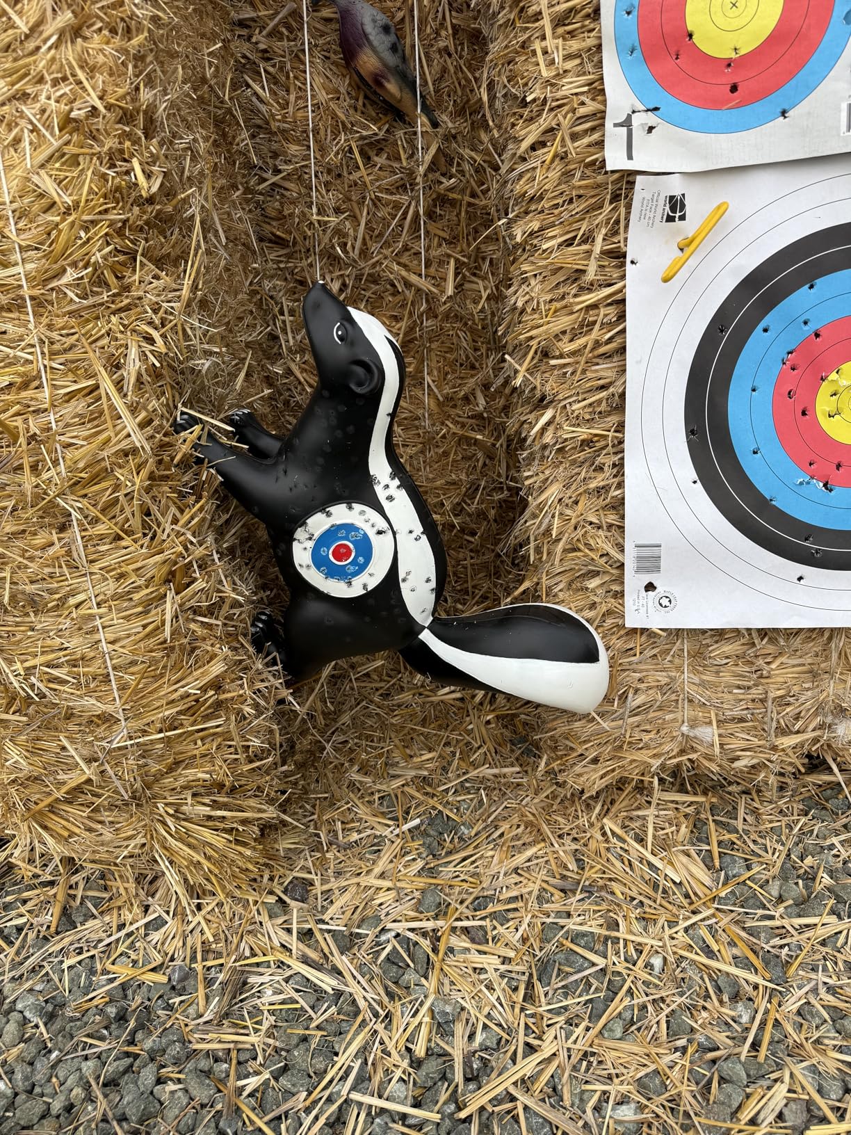 Archery 3D Animal Target Skunk with Ground Stakes for Backyard Arrow Hunting Training customer photo 1