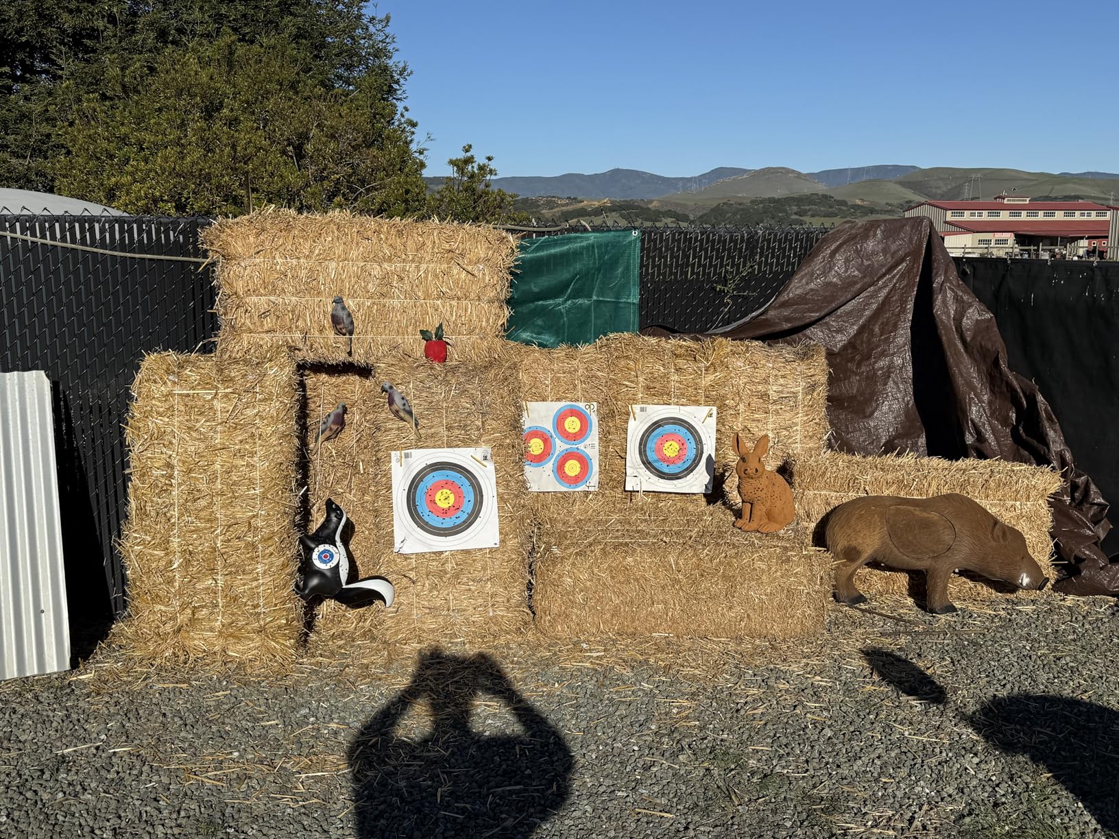 Archery 3D Animal Target Skunk with Ground Stakes for Backyard Arrow Hunting Training customer photo 2