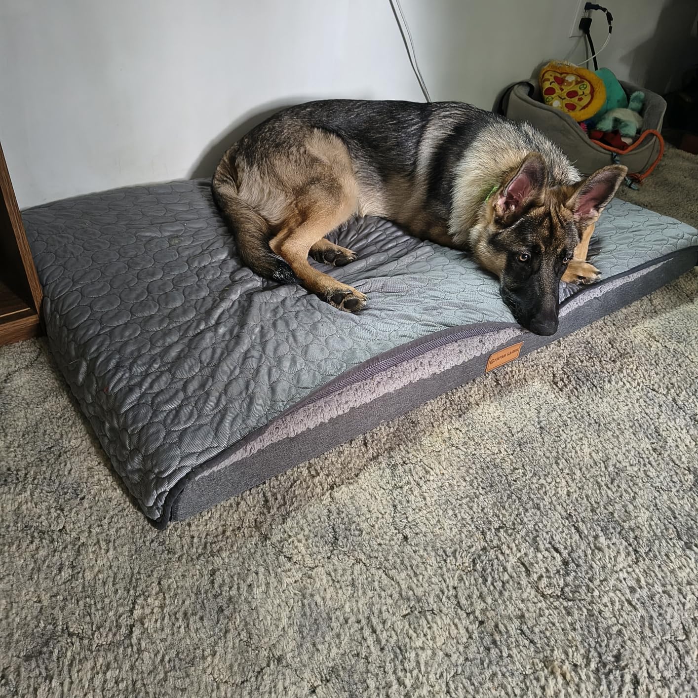 Patas Lague Orthopedic Dog Bed Large Sized Dog 36''X24'', Soft Waterproof Egg Crate Foam Medium Pet Crate Beds Mat with Removable Washable Cover and Non-Slip Bottom, Black customer photo 2