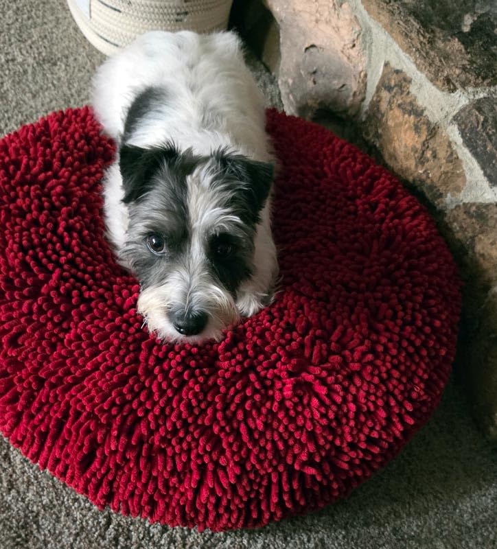 Muddy Mat Cloud K-9 Bed for Dogs & Cats, Soft & Relaxing Round Dog Bed, Chenille Material, Removable Cover, Washable & Dryer Safe, Grey Large (40'x40') customer photo 1