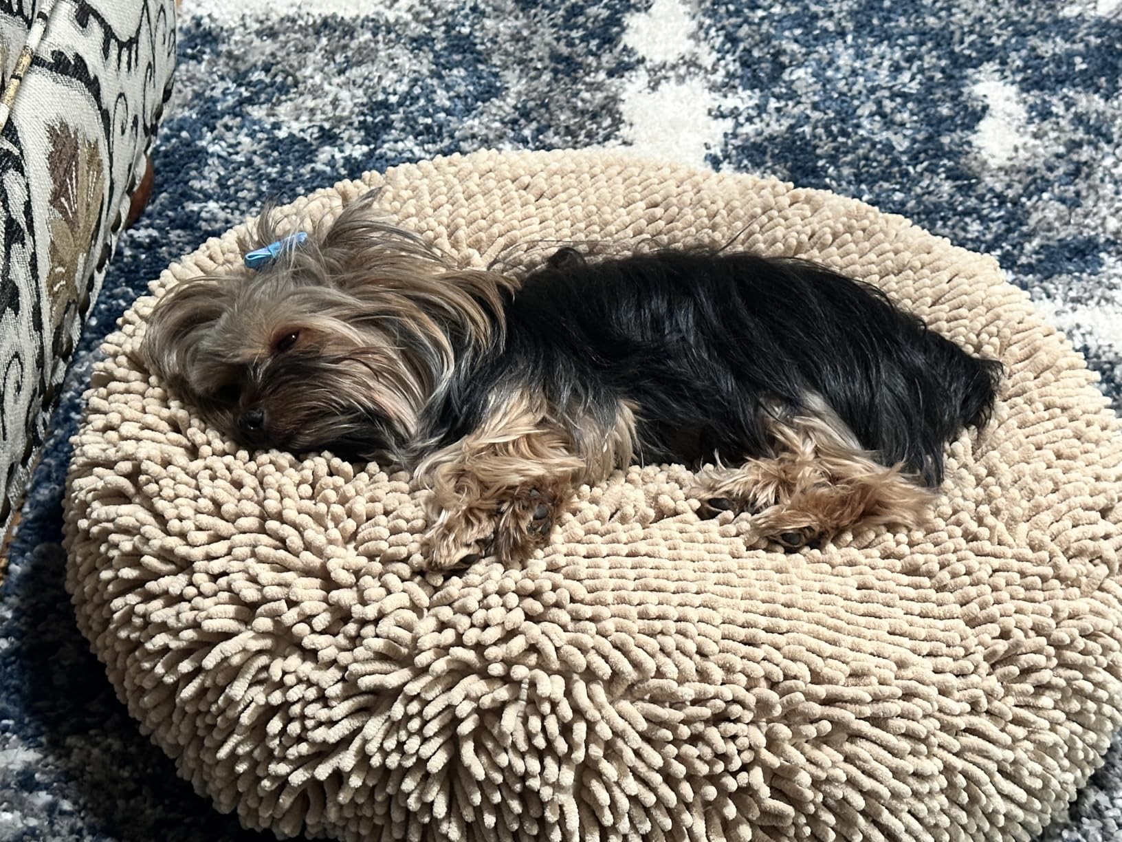 Muddy Mat Cloud K-9 Bed for Dogs & Cats, Soft & Relaxing Round Dog Bed, Chenille Material, Removable Cover, Washable & Dryer Safe, Grey Large (40'x40') customer photo 2