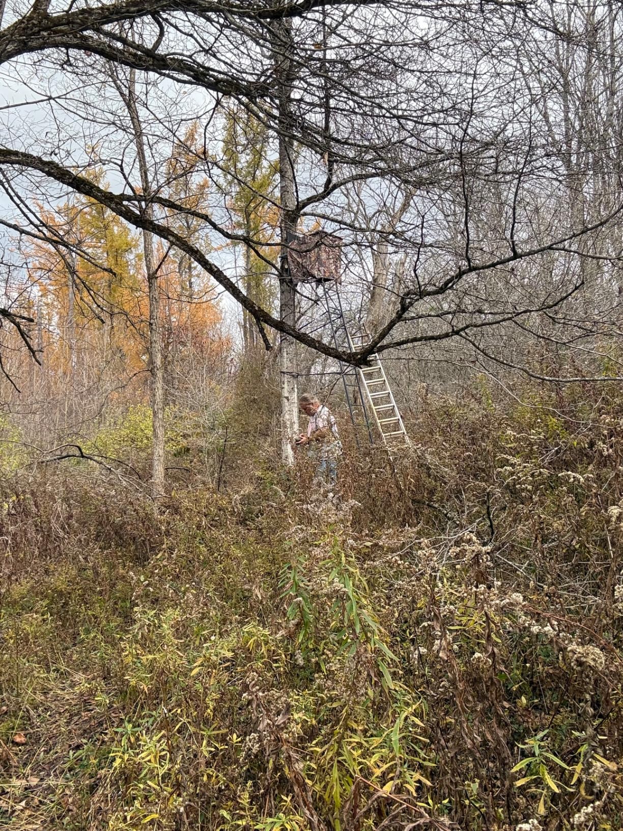 Sfcddtlg Hunting Tree Stand Blinds- Treestand Camo Blind Cover- Hunting Camouflage Ground Blind with Zipper for Deer, Turkey Hunting (Frames Not Included) customer photo 1