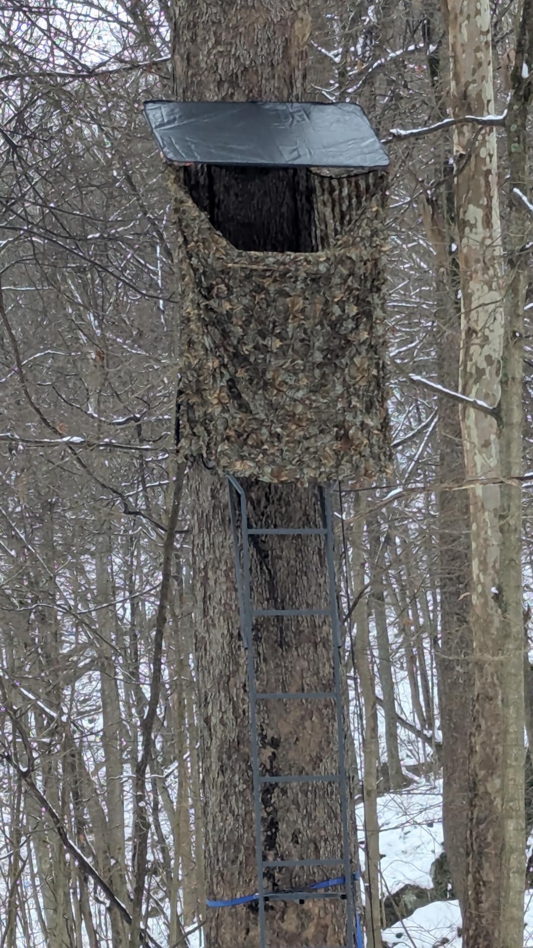 AYIN Camo Netting 3D Leafy Camouflage Net for Hunting, Tree Stands Concealment, Traping, Sunshade, Decoration, Shooting, Paint Ball and More, 5 ft X 12 ft customer photo 1