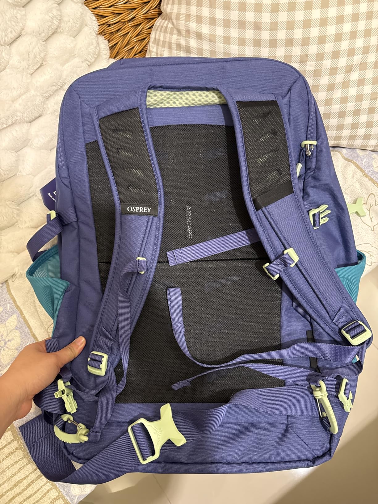 Osprey Daylite 44L Carry-On Travel Pack - Lightweight, Durable Backpack with Streamlined Design - Versatile, Spacious Bag for Weekend Trips or Business, Black customer photo 2