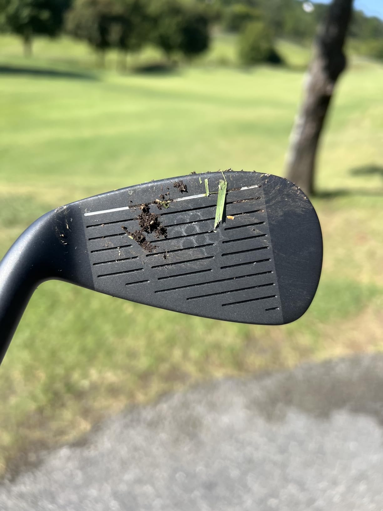 XM-01 Individual Golf Irons or Golf Irons Set - Premium Men Golf Club Iron with Steel Shaft for Right Hand Golfers Stiff Flex customer photo 1