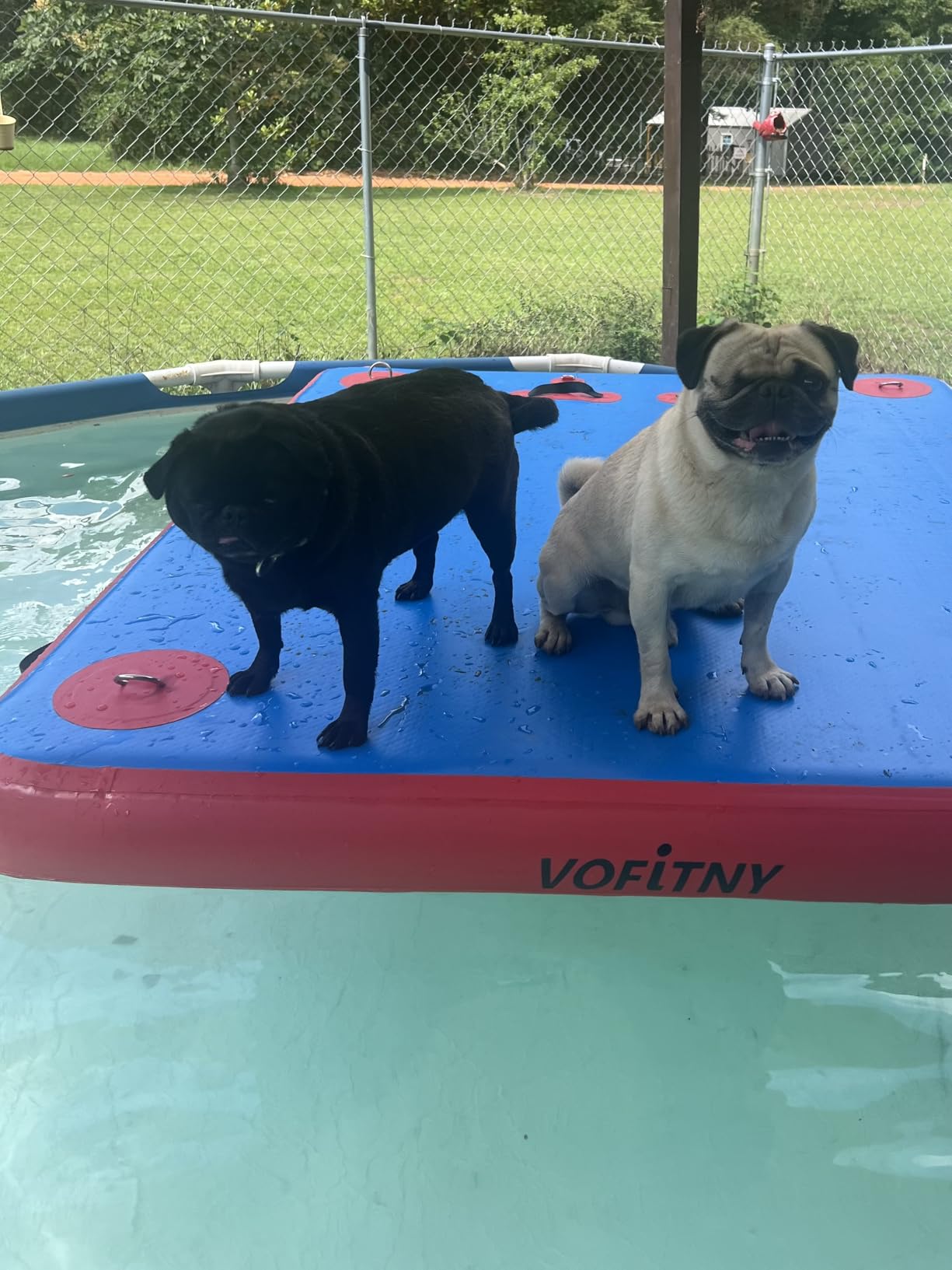 VOFiTNY Inflatable Floating Dock, Swim Platform Floating Dock for Lakes, Island Raft Mat for Lake Beach Ocean, Non-Slip Surface customer photo 2