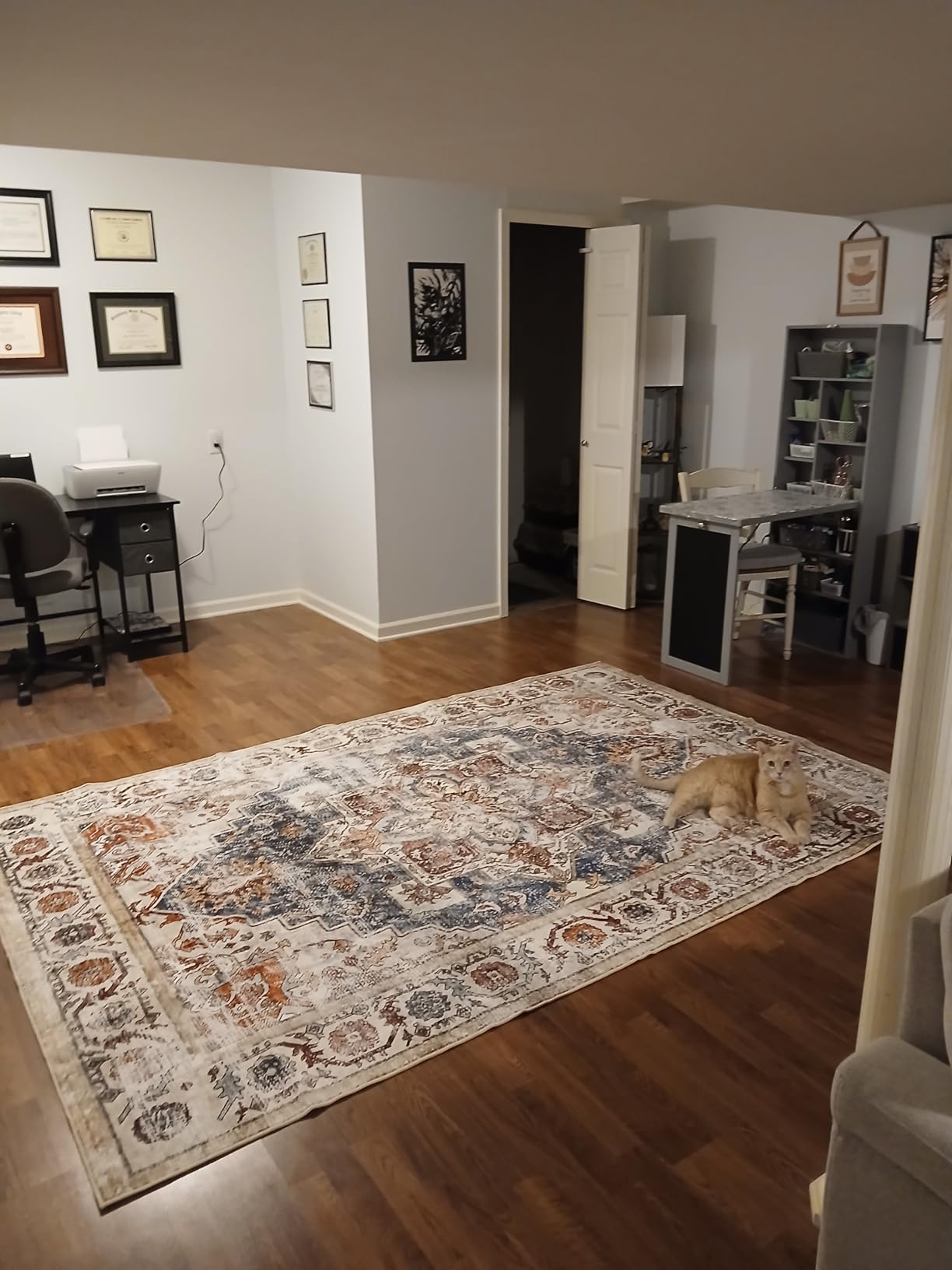 CHAMPLANT 6'x9' Washable Vintage Area Rug Boho Chic Medallion Distressed Design Non-Shedding Easy Care Ideal for High Traffic Areas in Living Room Bedroom Kitchen Office Large Carpet customer photo 1