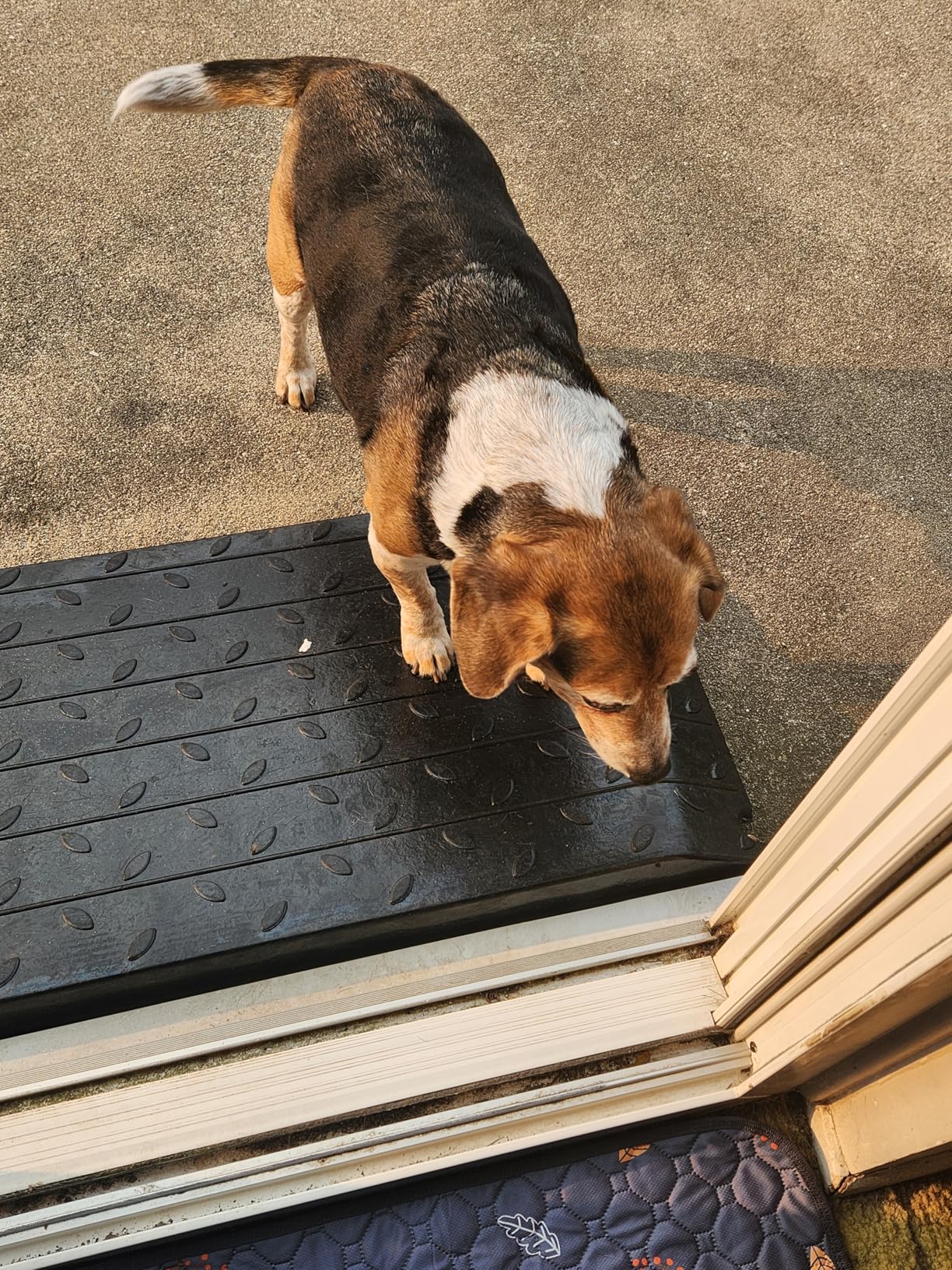 4 Inch Rise Threshold Ramp Anti-Slip Wheelchair Ramp Rubber Curb Ramp for Home Doorways 3 Feet Long 6500lbs Load Capacity (Anti-Slip Design) customer photo 1