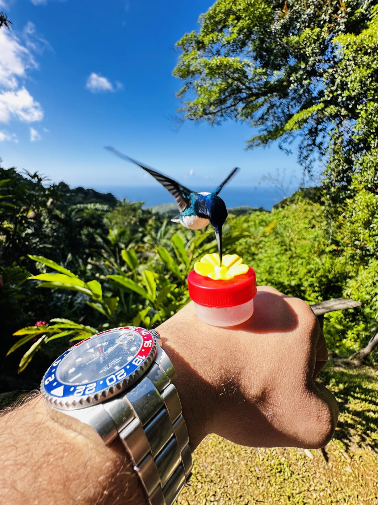 Pagani Design GMT Watches for Men Automatic 40MM Date 100M Waterproof Stainless Steel Sapphire Glass Mechanical Wristwatches PD-1662 customer photo 1