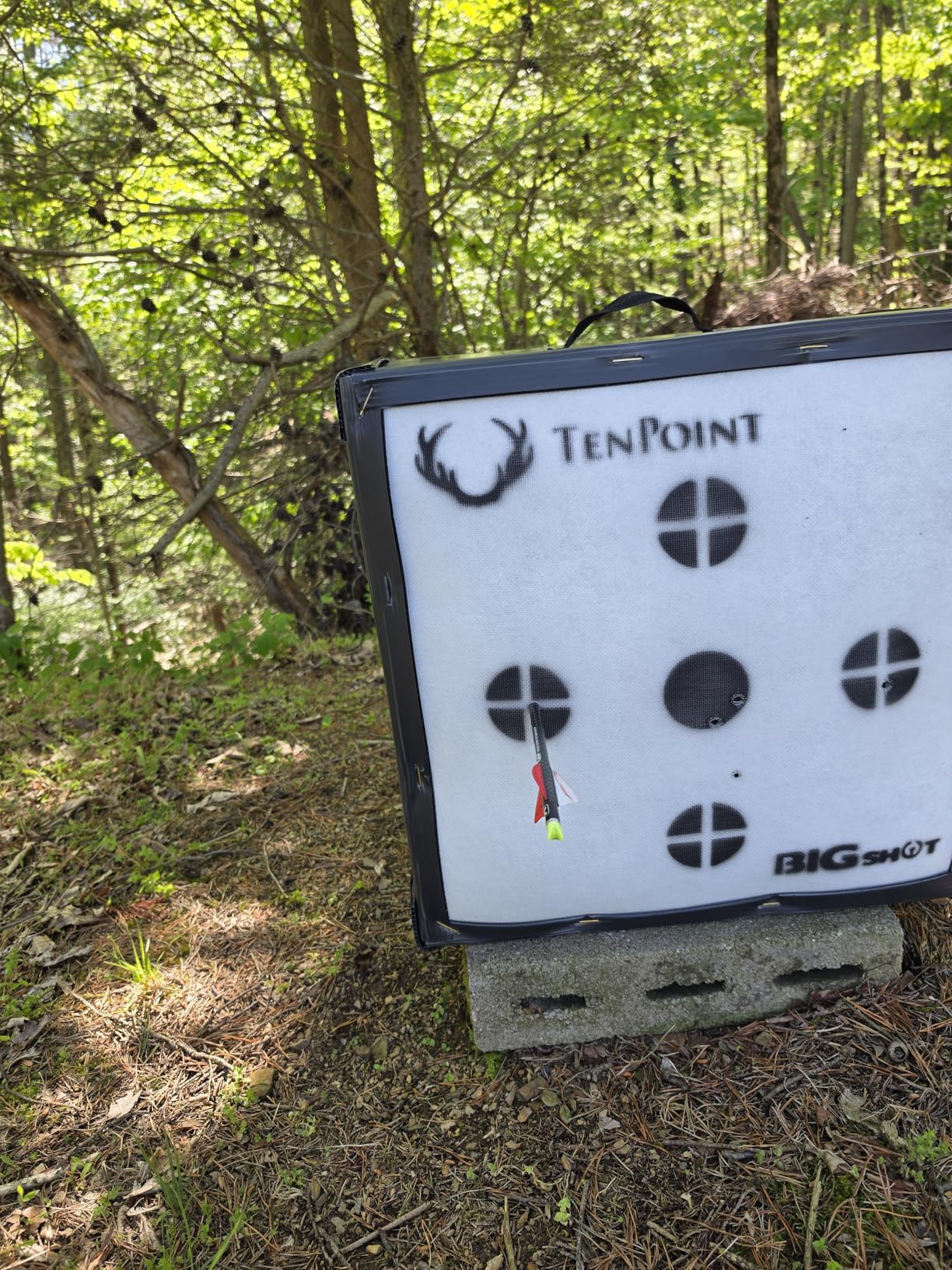 BIGSHOT Iron Man Kinetic 650 Ten Point Edition Crossbow Target - High Speed Archery Target for Backyard, 650 FPS Rated, Easy Arrow Removal, Field Point Target for Crossbow and Compound Bow customer photo 1