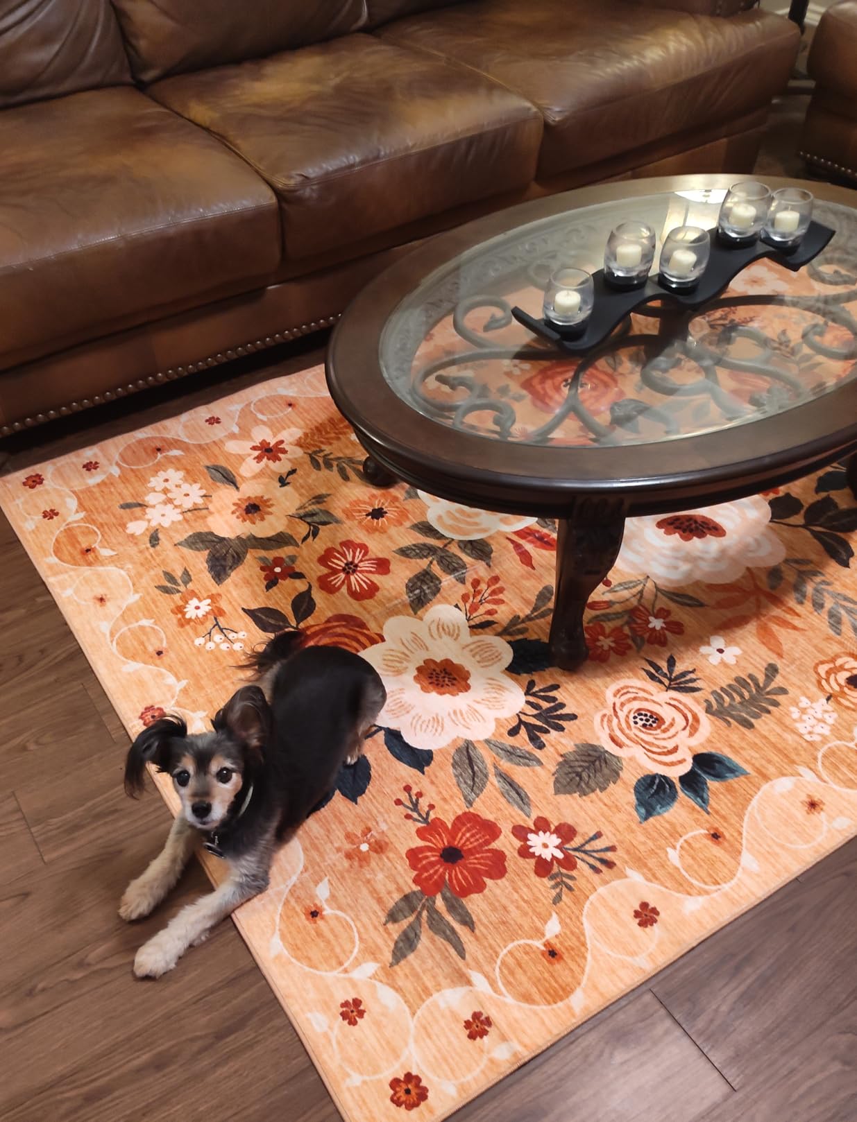 DUKINO 2x6 Runner Rug for Hallway, Washable Kitchen Runner Rug with Non Slip Backing, Low Pile Soft Boho Floral Runner for Kitchen, Hallway, Entryway, Laundry, Bedroom, Black customer photo 2