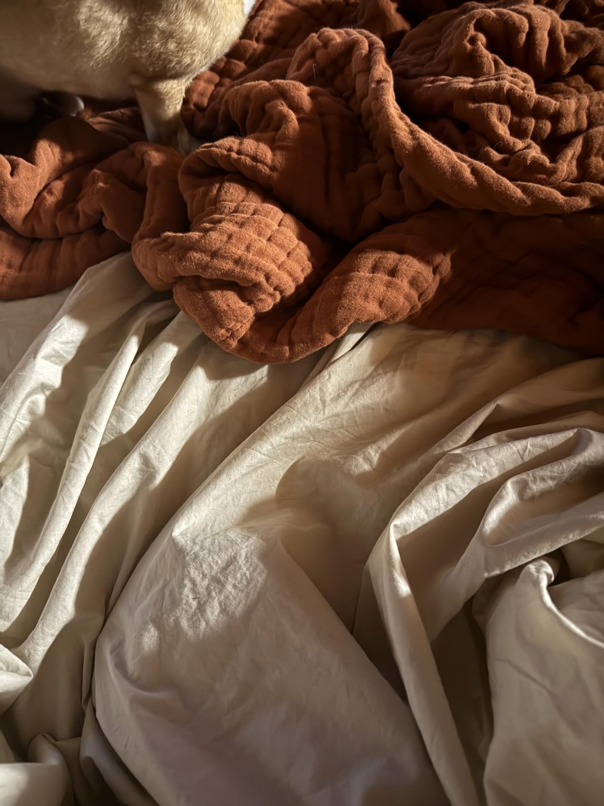 California Design Den Certified 100% Egyptian Cotton Sheets King Size Deep Pocket Set - King Percale Sheet Set with Deep Pockets, Lightweight, Crisp, Durable Luxury Bedding - White customer photo 1