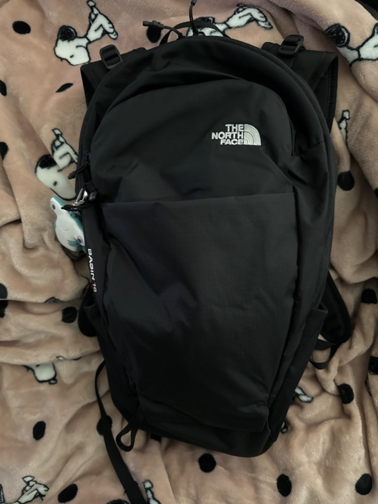 Basin 18 Liter Technical Daypack with Rain Cover - Unisex Backpack, Sternum Strap, Hiking Pole Attachment, TNF Black/TNF Black-NPF, One Size customer photo 1