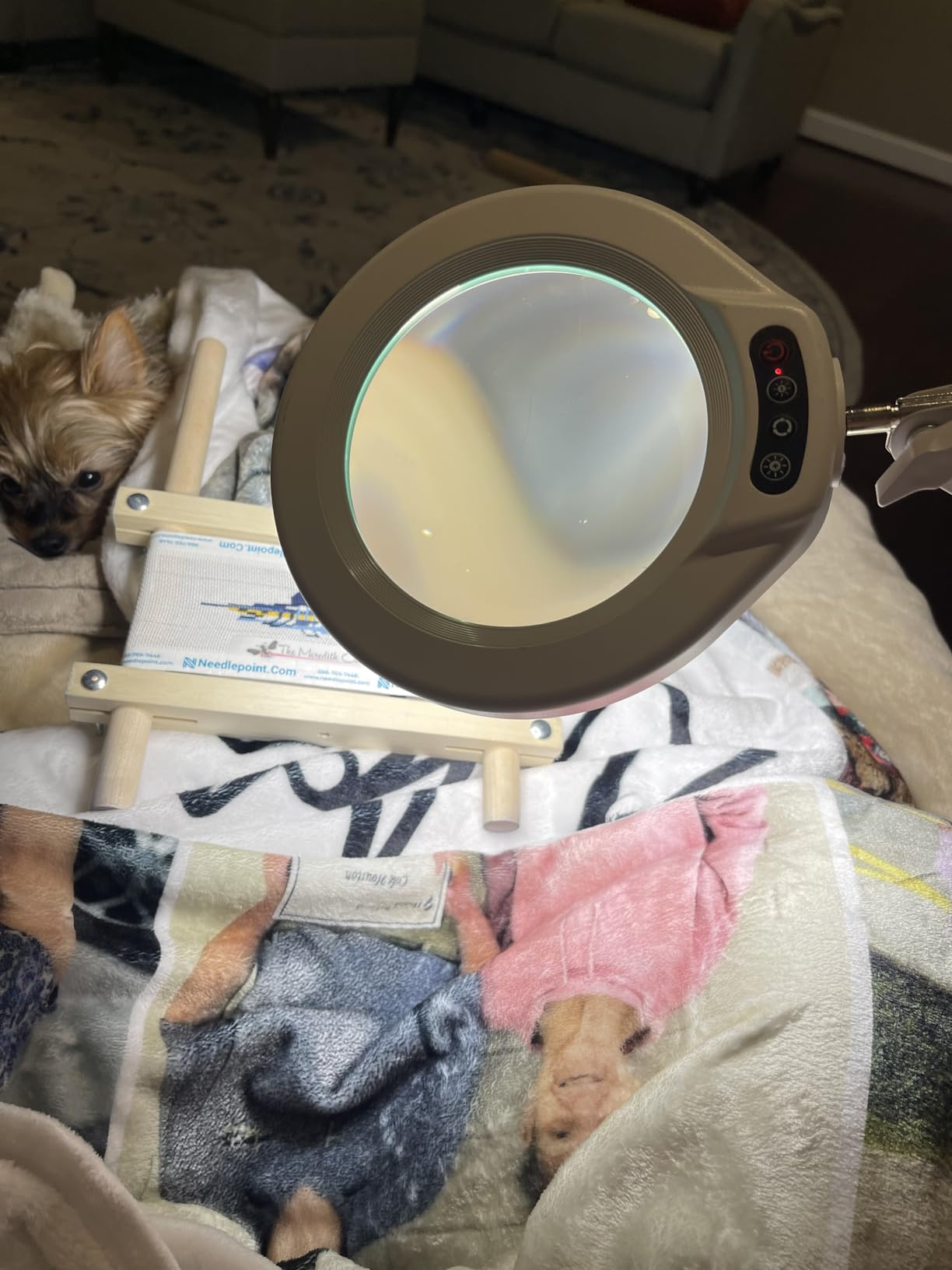 15X Magnifying Glass with Light and Stand, Super Bright 2,200 Lumens LED Magnifying Floor lamp with 5 Wheels Rolling Base, 5 Color Modes Stepless Dimming Lighted Magnifier for Esthetician Facial Salon customer photo 1