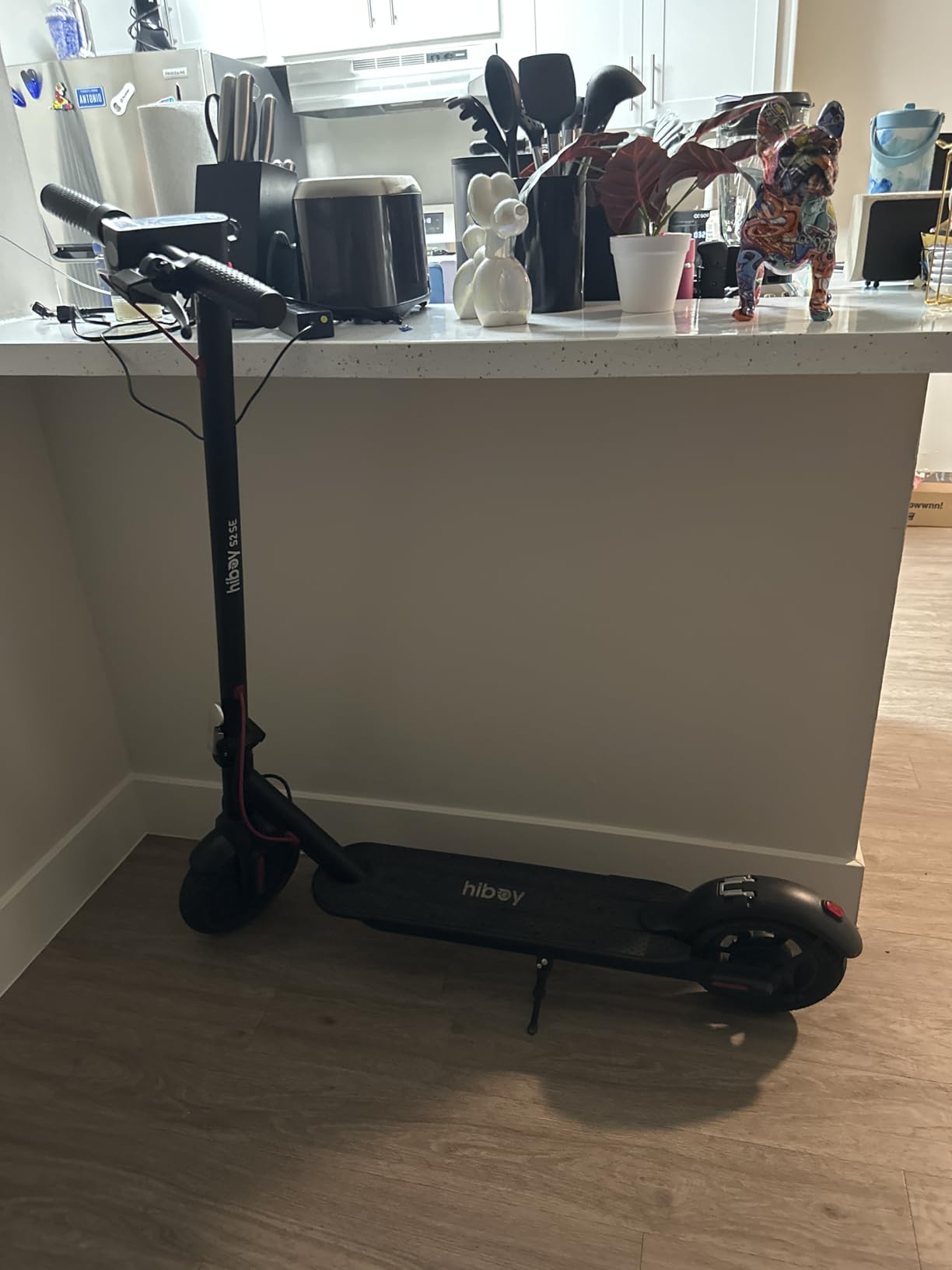 Hiboy S2 SE Electric Scooter, 10