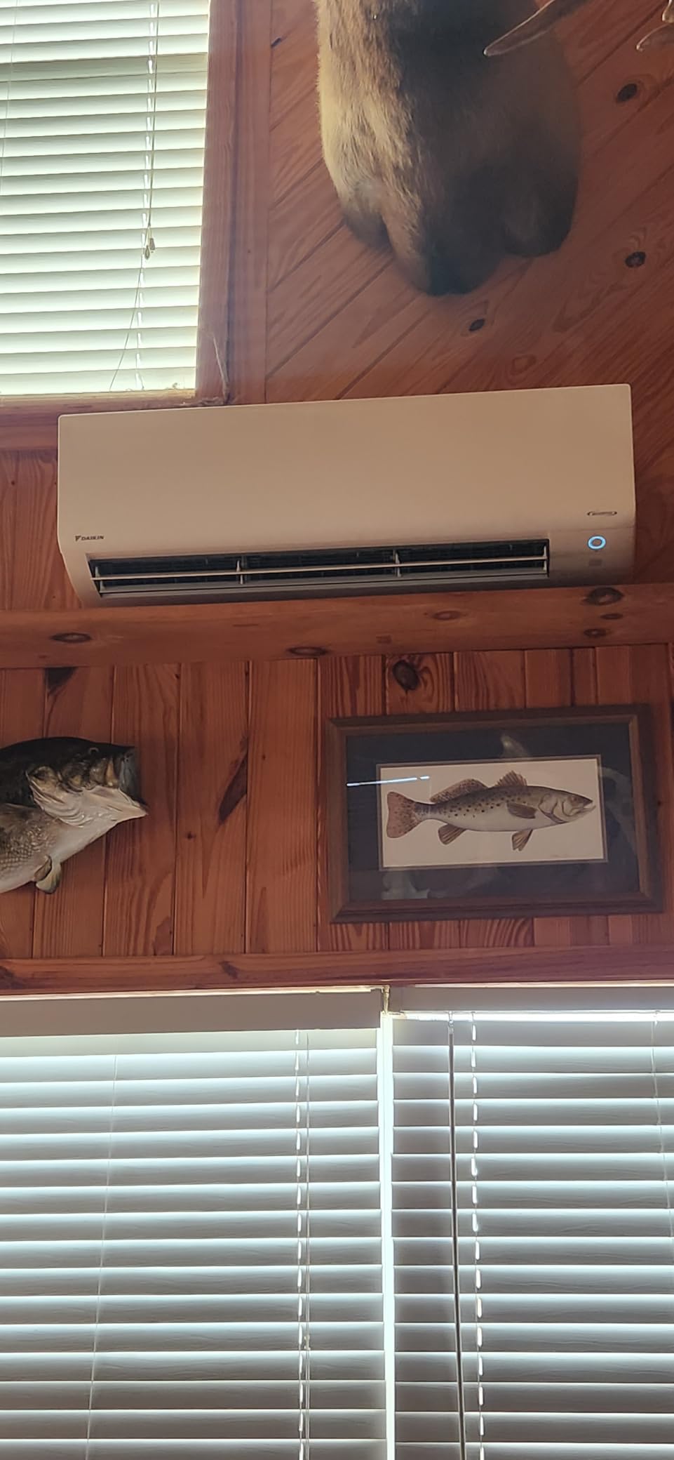 24,000 BTU 21 SEER2 Oterra R32 Series Ductless Mini-Split Air Conditioner with Installation Kit and Wall Bracket- 230V customer photo 1