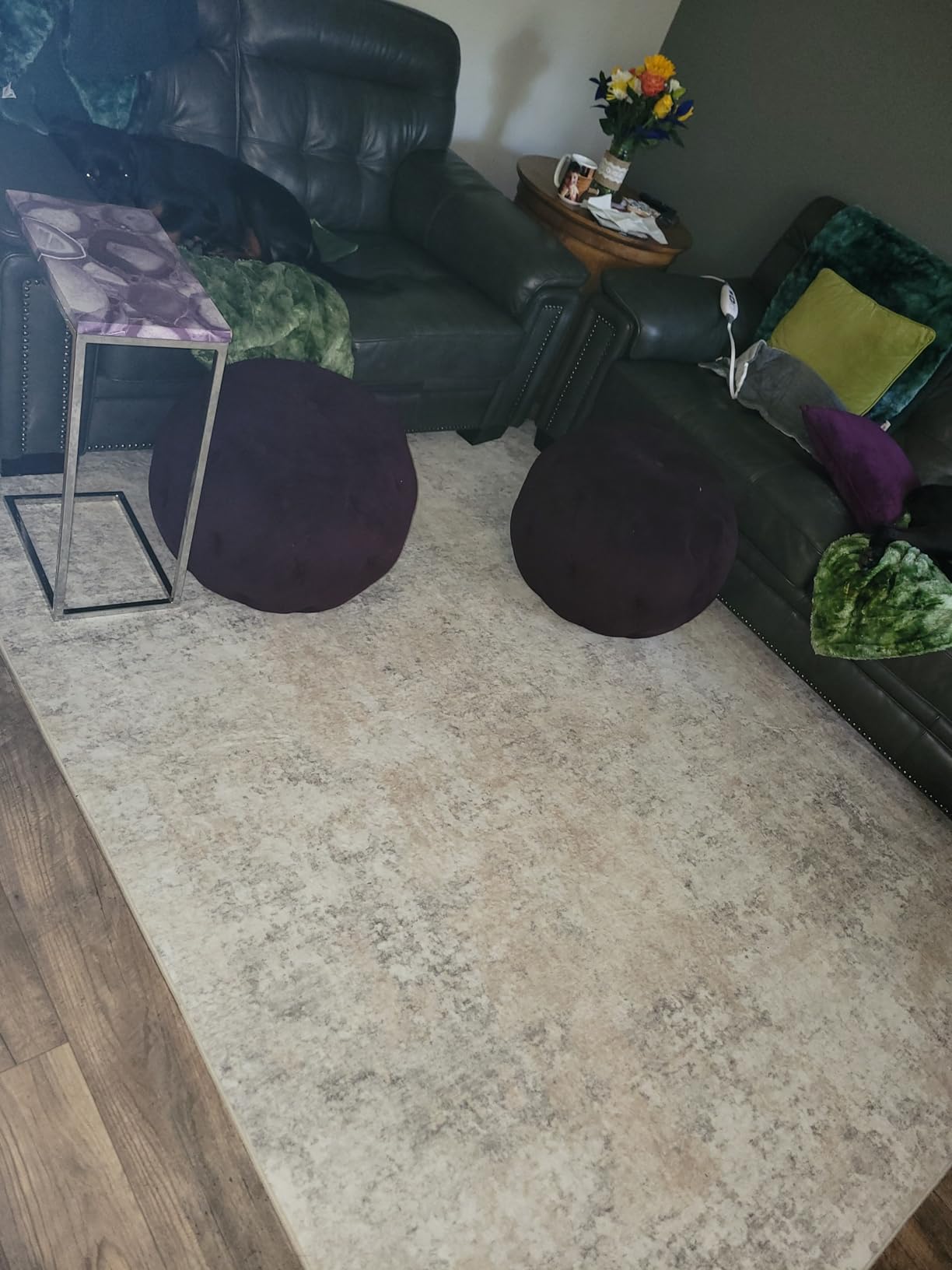 Runner Rug for Hallways Kitchen 2'6