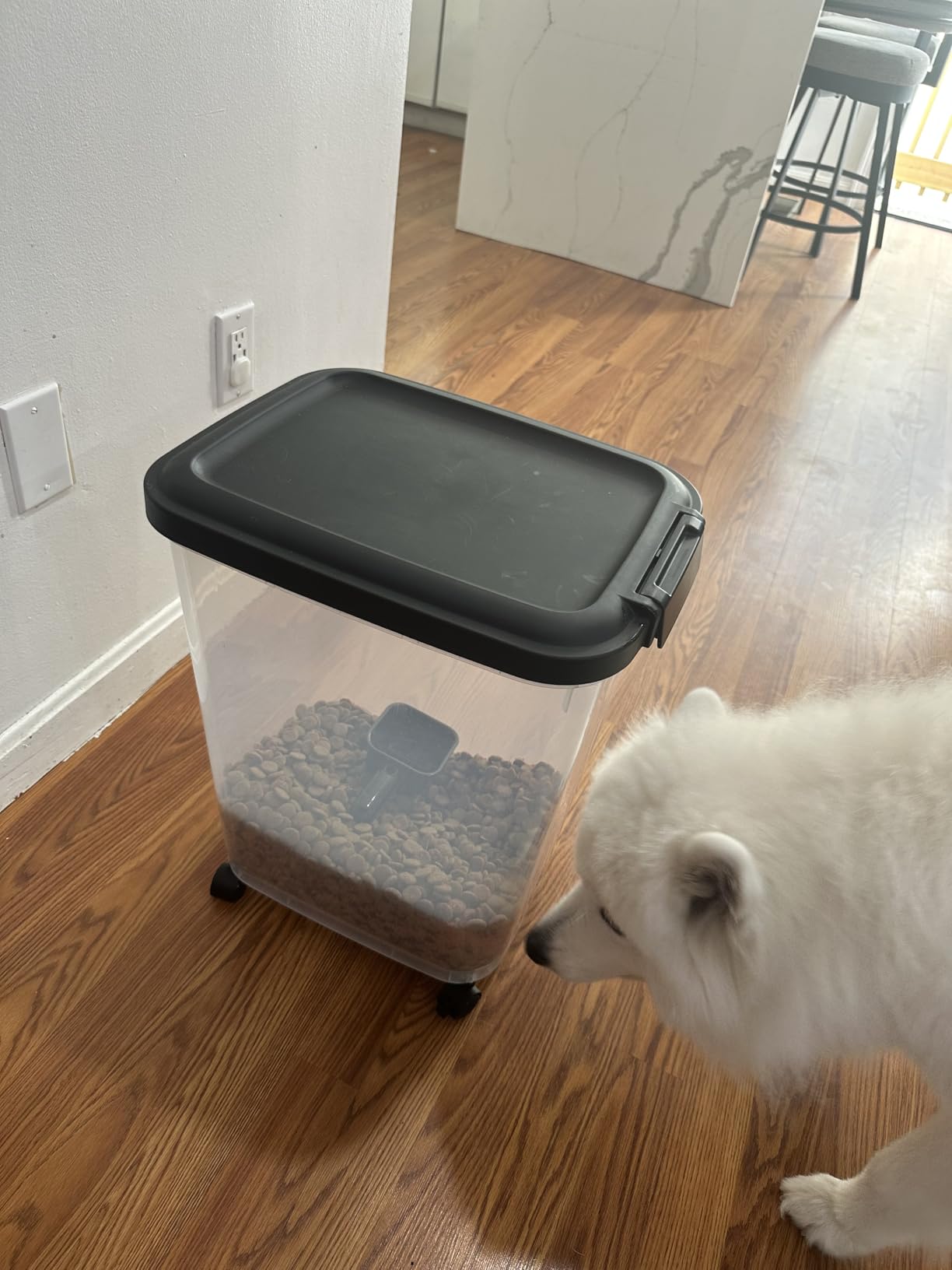 Amazon Basics Pet Food Storage Container with Wheels, BPA-Free, Detachable Scoop, 30lbs Capacity, Reliable Seal customer photo 1