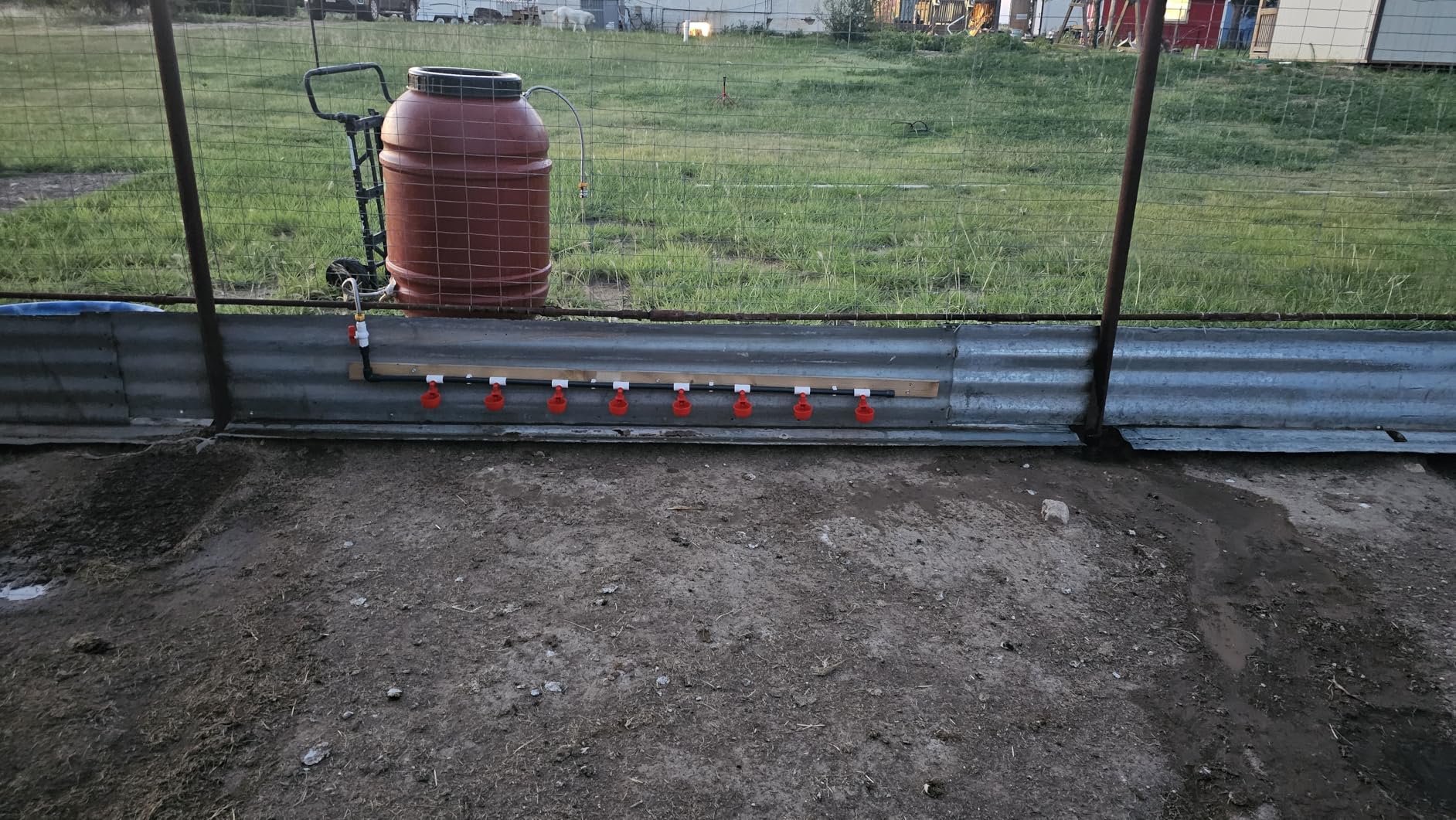 Complete Set Pipeline Automatic Chicken Waterer System (58 Accessories Included) Chicken Water Cups, Poultry Waterer with PVC Pipeline, Float Valve and Garden Hose customer photo 2