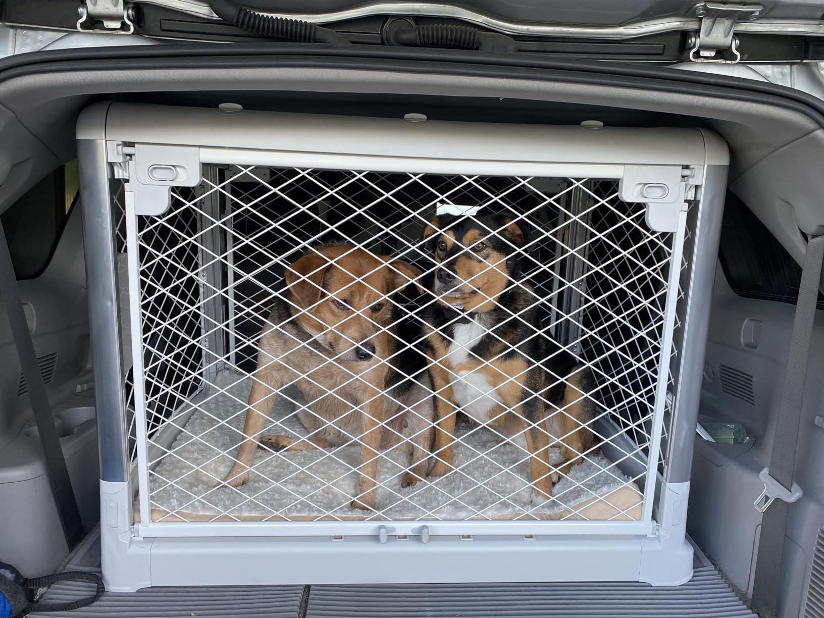 DIGGS Revol Collapsible Dog Crate with Wheels - Premium Portable Dog Crate - Safe, Stylish, and Convenient Indoor Kennel (Smoke, Medium) customer photo 2