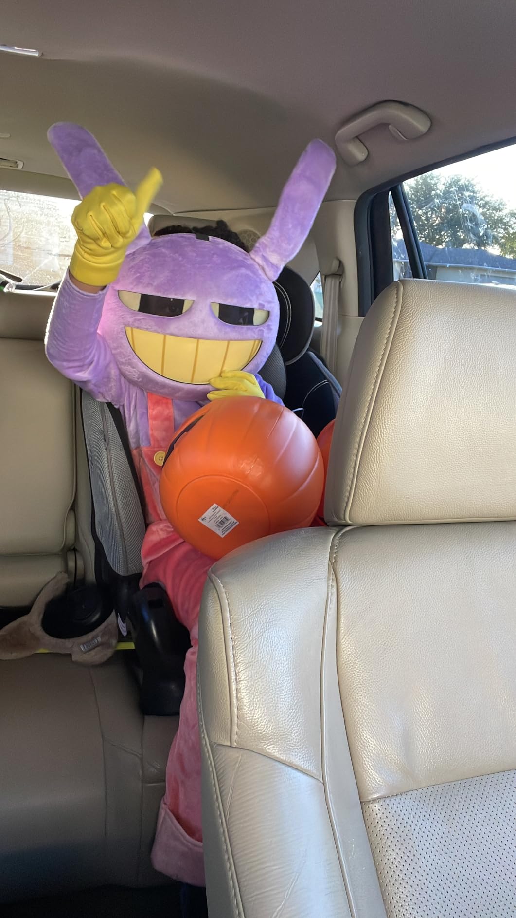 Evenflo Chase LX Harnessed Booster Car Seat (Jameson Gray) customer photo 1