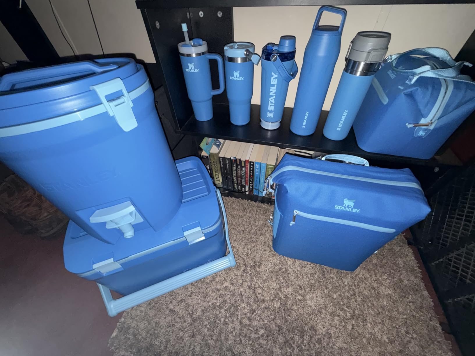 Stanley All Day Madeleine Backpack Soft Cooler 20 Can Cooler with Handle and Shoulder Straps customer photo 2