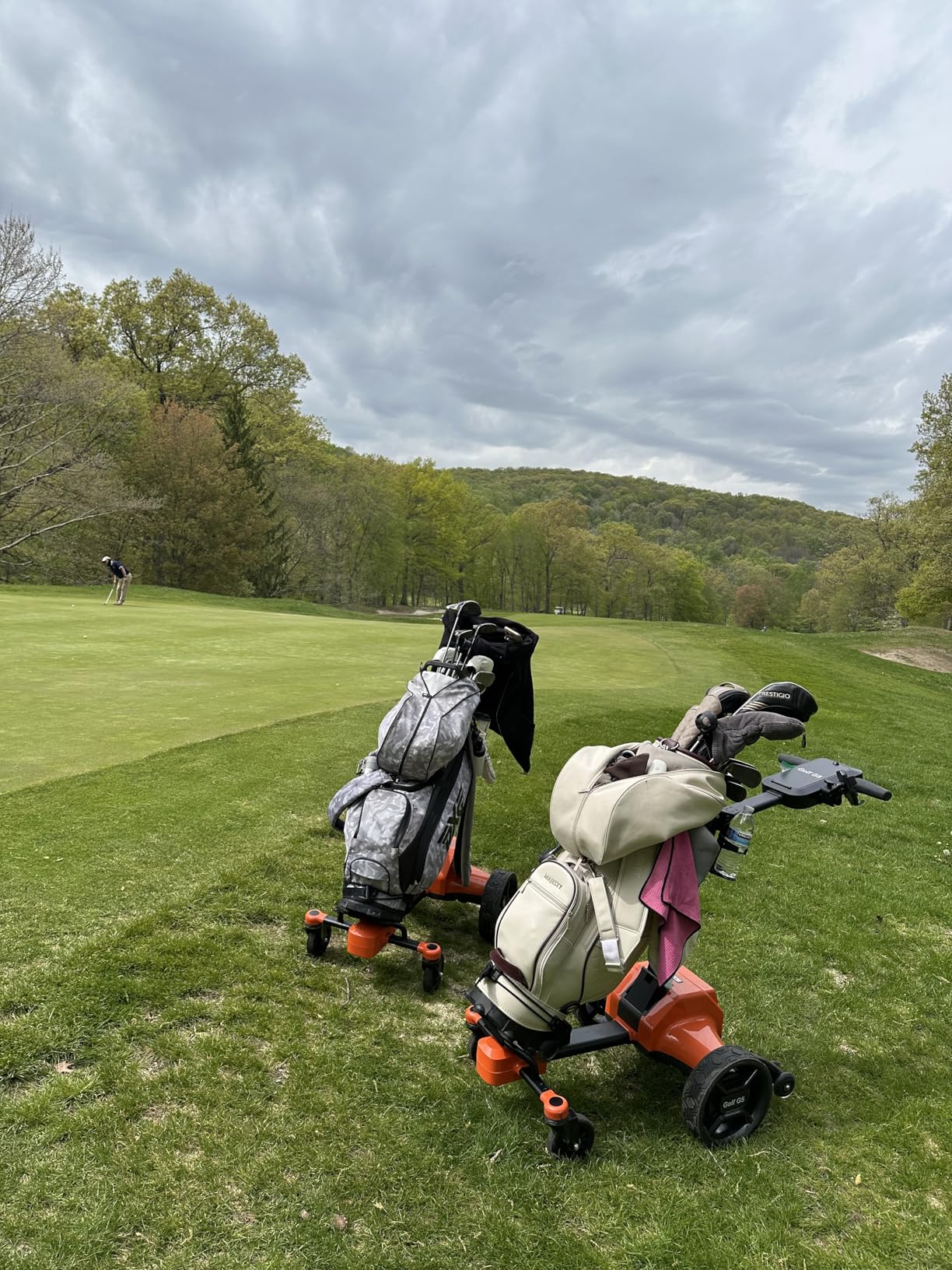tianhong G5 Electric Golf Cart, Auto-Follow You, 45 Hole Battery, All-Terrain Anti-Tipping customer photo 2