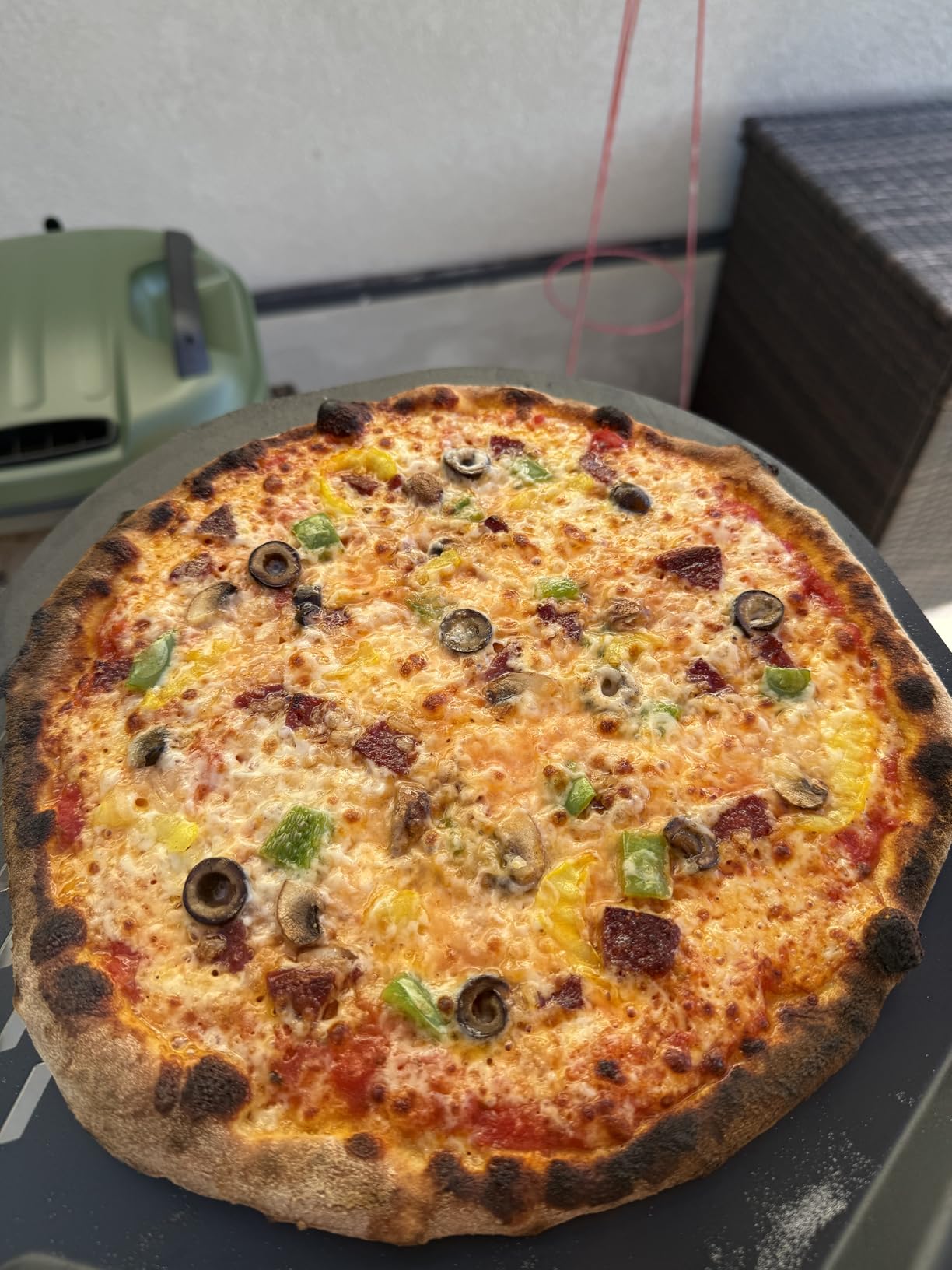 Tread Portable Pizza Oven, Olive, Makes 12