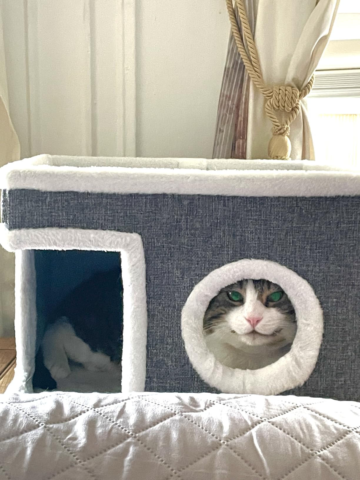Cat Beds for Indoor Cats, Large Cat Cave with Fluffy Ball and Scratch Pad, Foldable Cat Scratch House with Hideaway Condo for Kitten customer photo 1