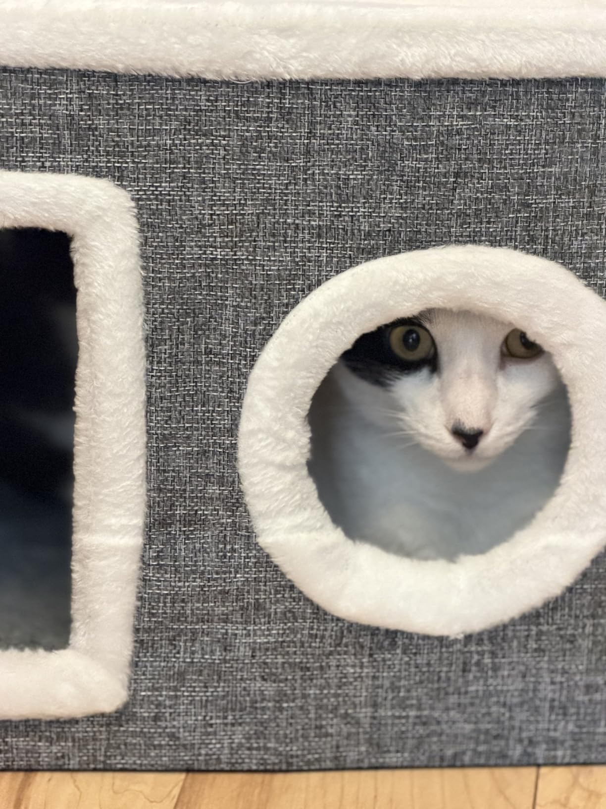Cat Beds for Indoor Cats, Large Cat Cave with Fluffy Ball and Scratch Pad, Foldable Cat Scratch House with Hideaway Condo for Kitten customer photo 2