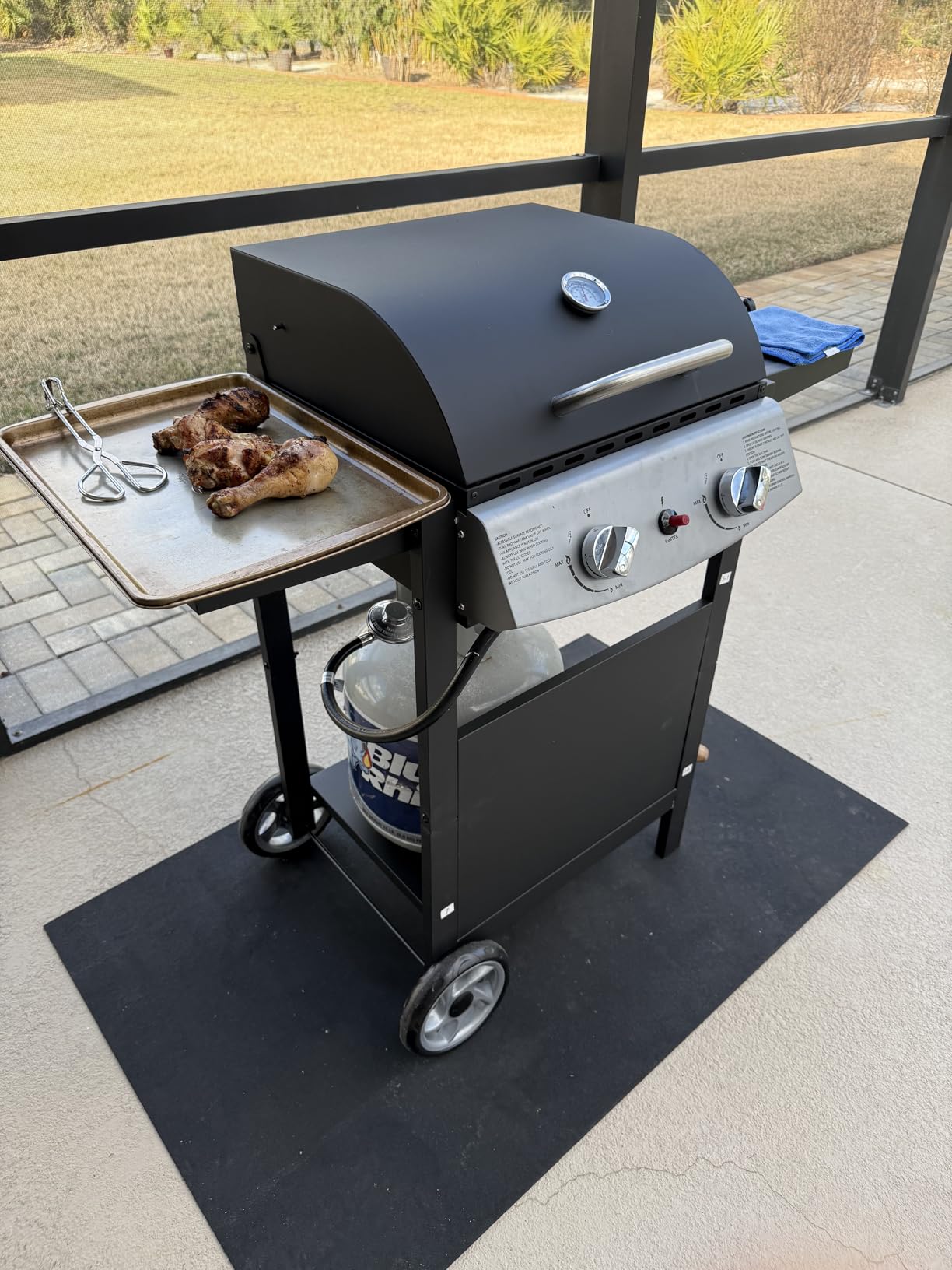 Electactic 2-Burner Propane Gas BBQ Grill, 20,000 BTU Stainless Steel Grill with Side Shelves and Wheels, Portable Outdoor Grill for Patio, Backyard, Garden, or Camping Cooking customer photo 1
