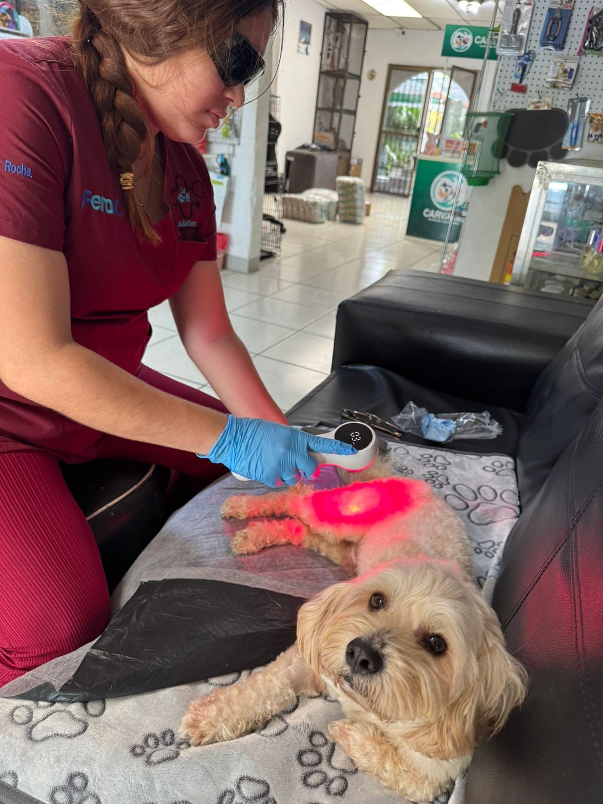 Mibest Cold Laser Therapy Device for Vet - Red Light Therapy for Dogs and Cats - Infrared Light Therapy Targets Joint and Muscles (4x808nm + 12x650nm) customer photo 1