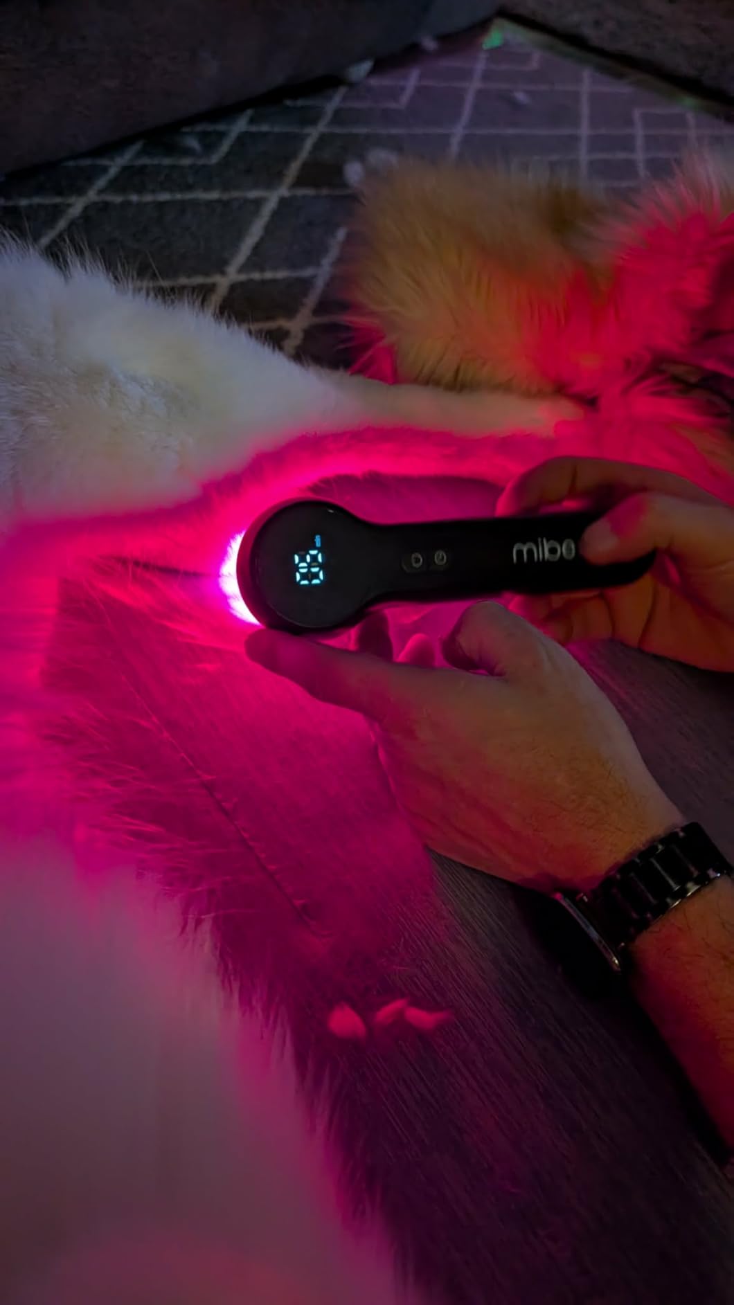 Mibest Cold Laser Therapy Device for Vet - Red Light Therapy for Dogs and Cats - Infrared Light Therapy Targets Joint and Muscles (4x808nm + 12x650nm) customer photo 2