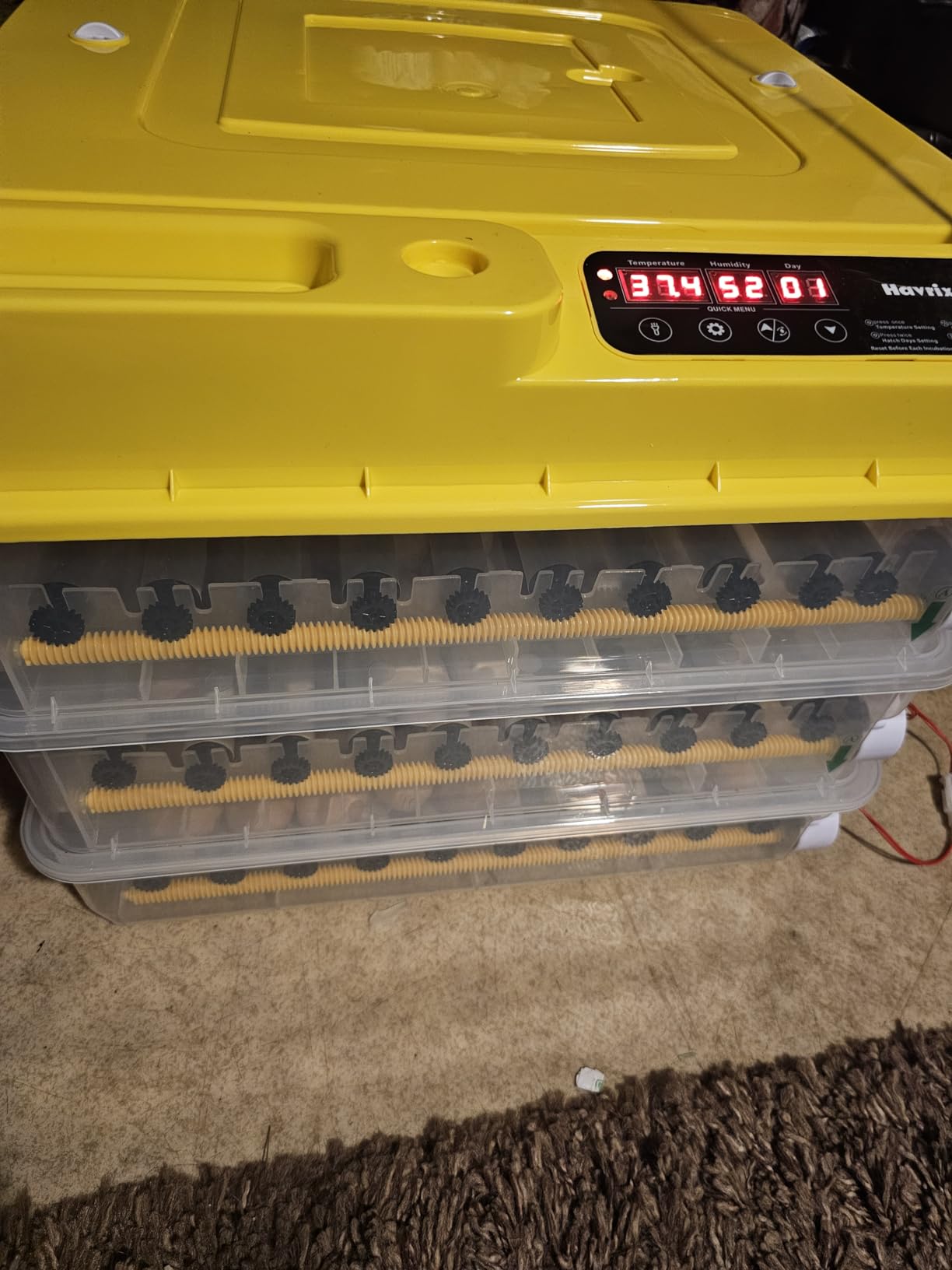 216 Egg Incubator for Hatching Eggs with Fully Automatic Egg Turning, Humidity Control by Bottles, Incubators for Chicken, Ducks, Quail, and Other Poultry Eggs, 360 Degree View with Clear Window customer photo 1