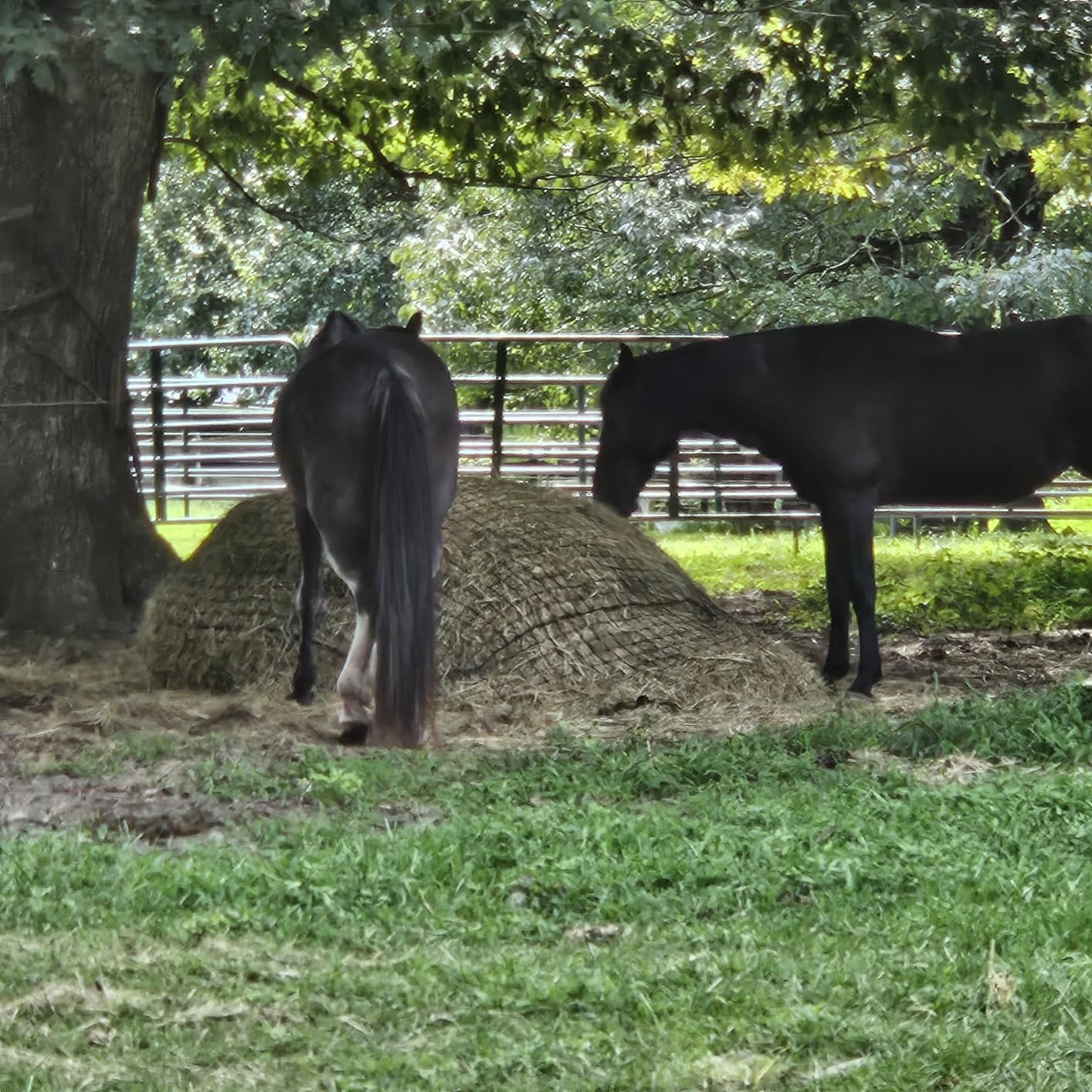 4x4 Ft Round Bale Hay Net for Horses - Knotless Slow Feeder Net with 2