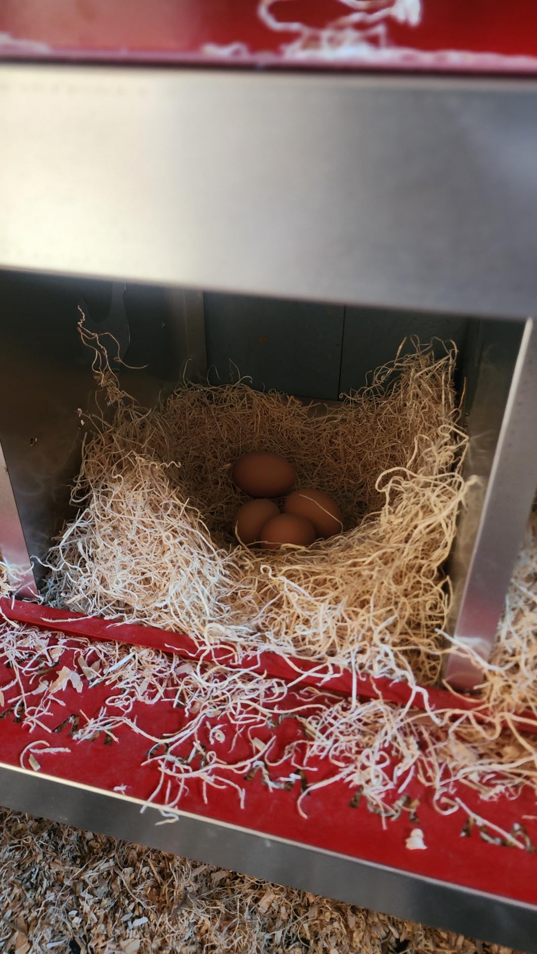 GarveeLife 10 Compartment Chicken Nesting Box with Metal Legs, Nesting Boxes for Chickens, Metal Chicken Laying Boxes with Perch, Secure Lid, Versatile Wall Mount or Free Standing for Hens, Red customer photo 1