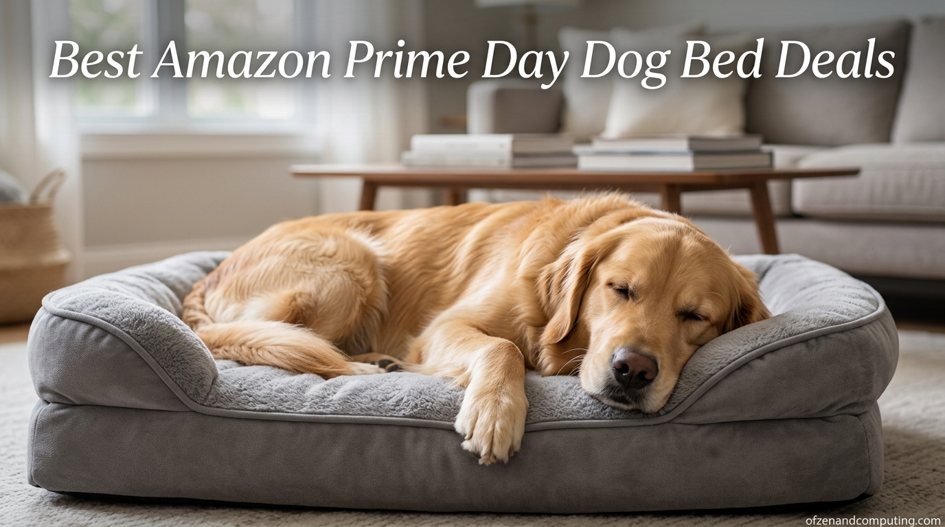 Best Amazon Prime Day Dog Bed Deals
