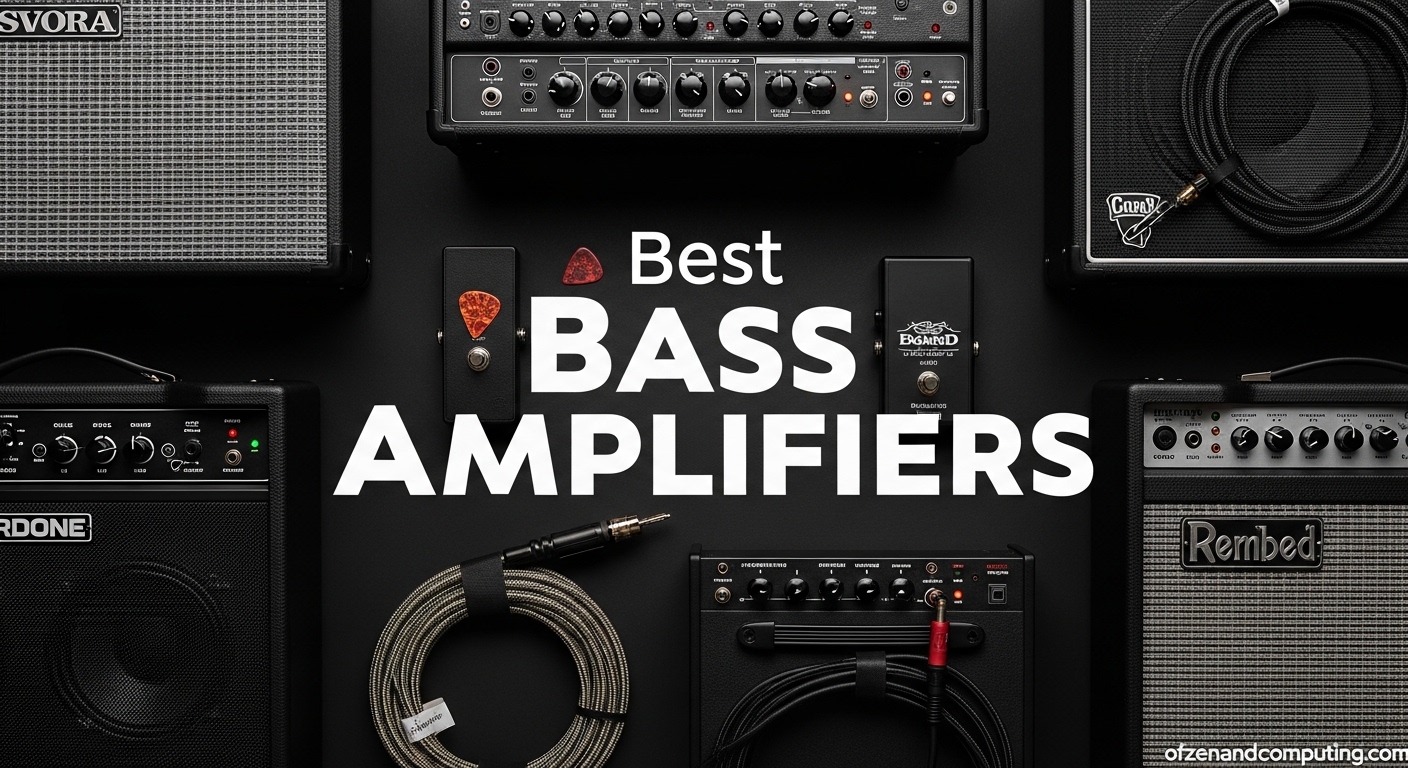Best Bass Amplifiers