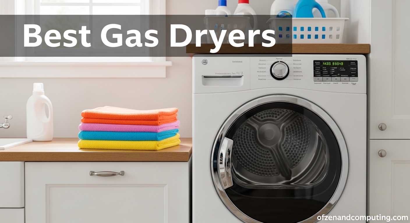 Best Gas Dryers