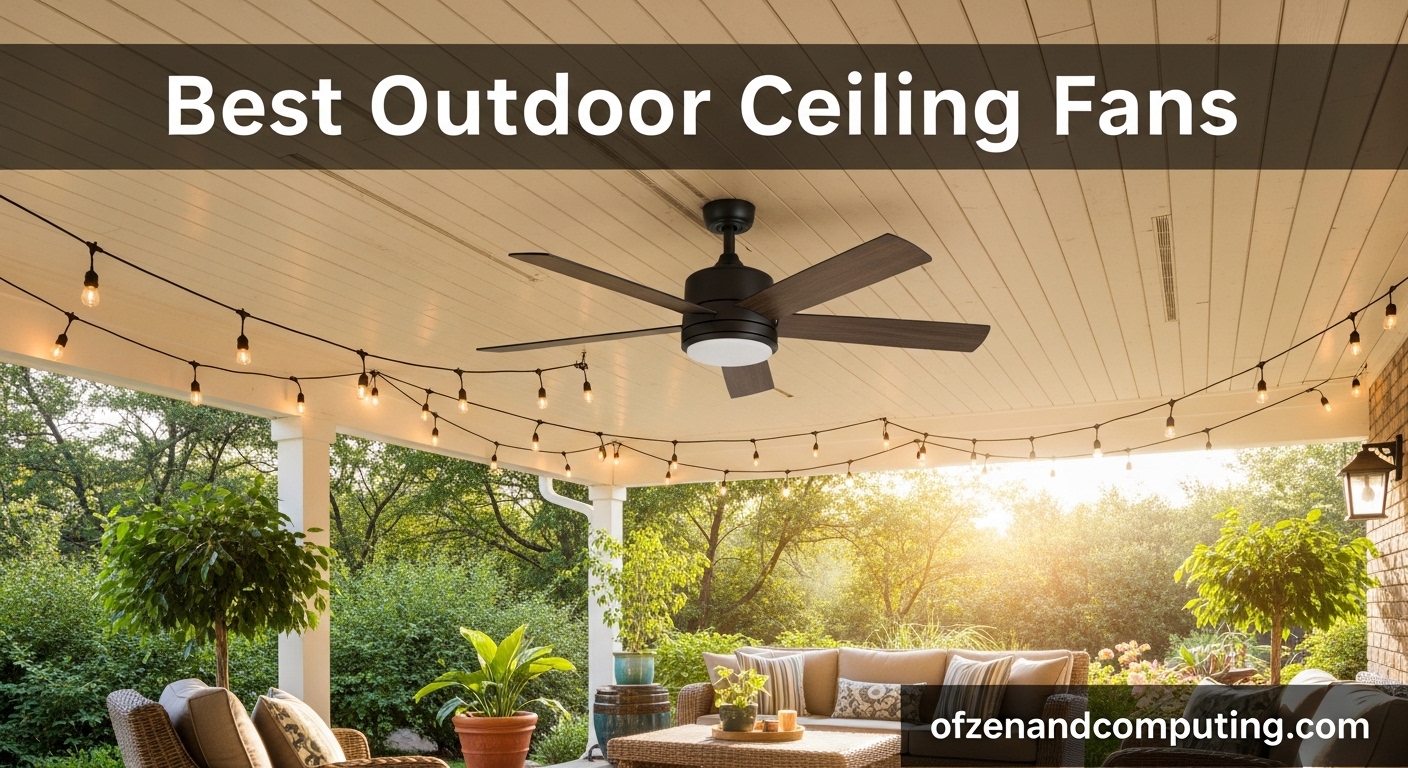 Best Outdoor Ceiling Fans