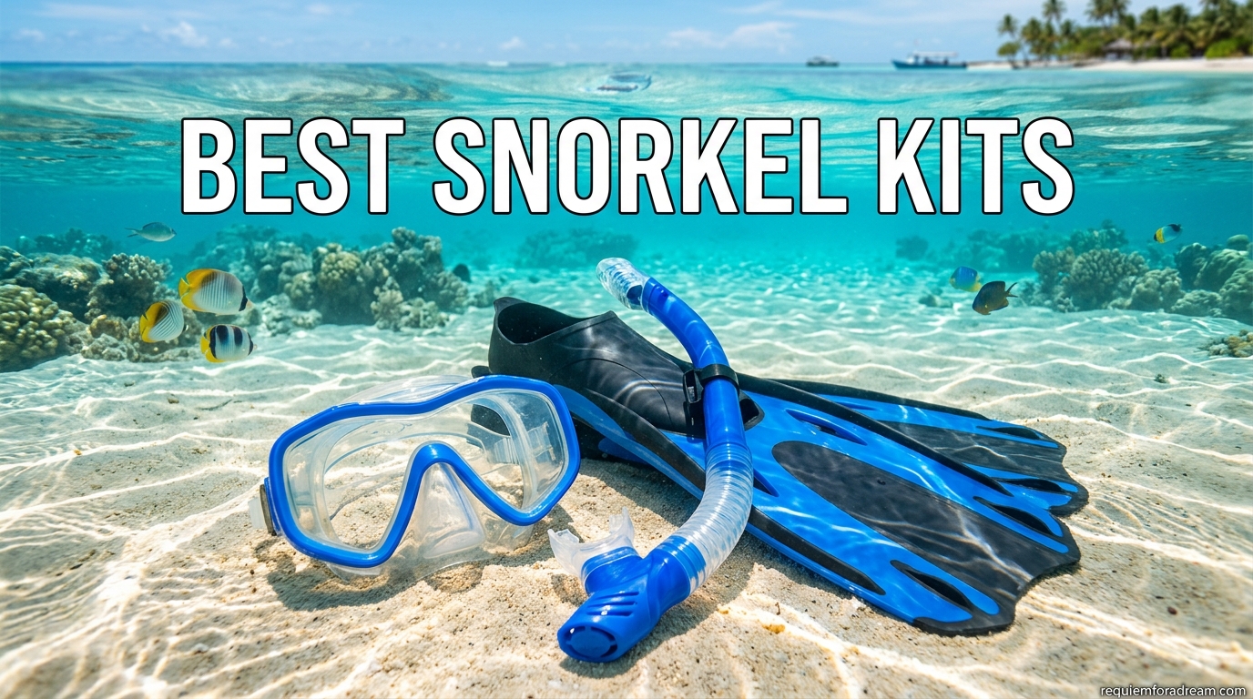 Best Snorkel Kits