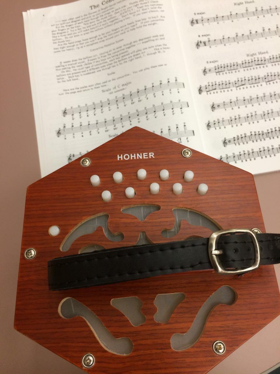 Hohner D40 Concertina w/Padded Gig Bag customer photo 3