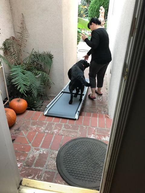 PetSafe Happy Ride Extra Long Telescoping Dog Ramp, Portable Pet Ramp for Cars, Trucks & SUVs with Adjustable Sizing customer photo 1