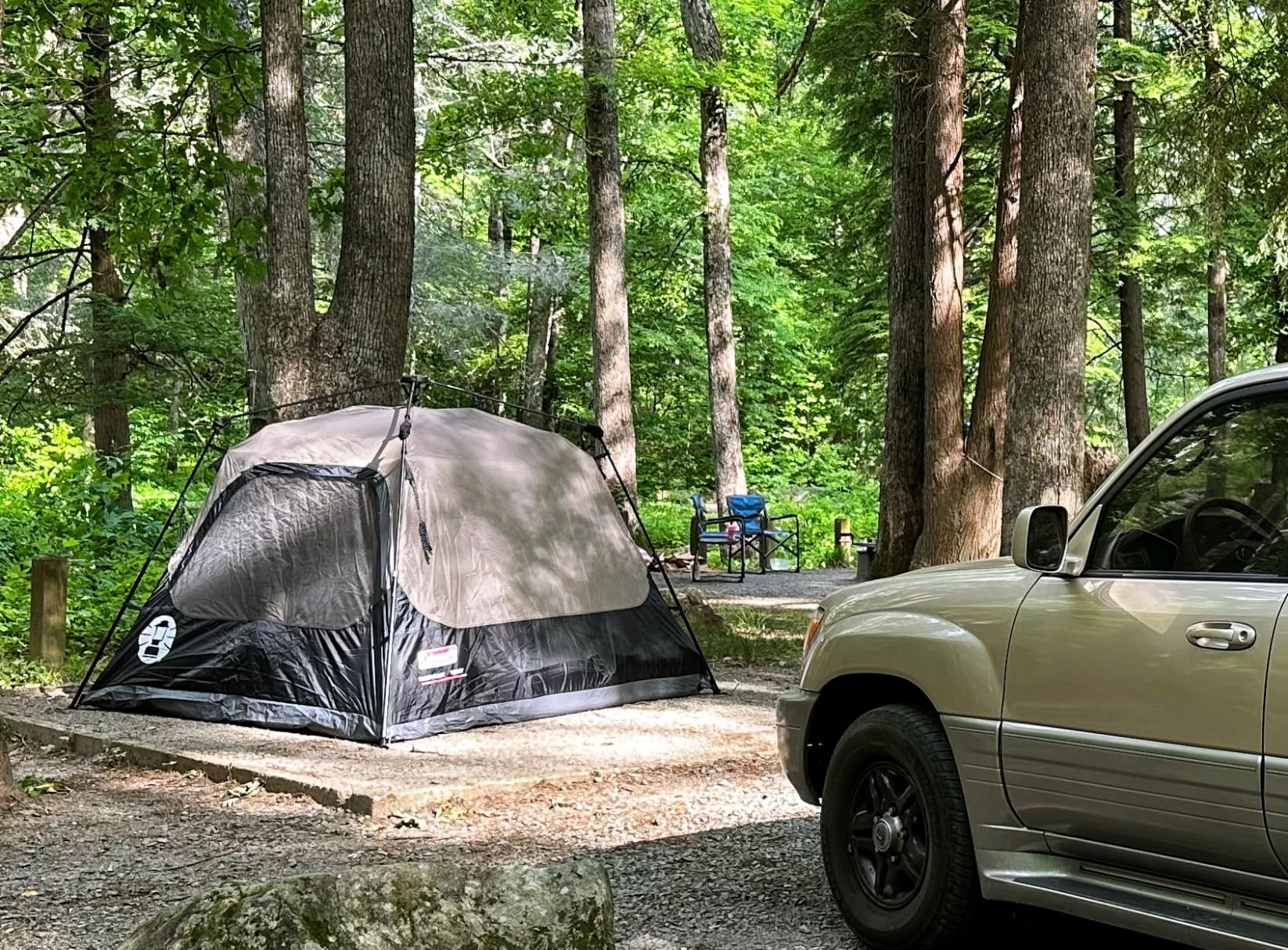 Coleman 4-Person Instant Camping Tent with 1-Minute Setup, Large Family Tent with Pre-Attached Poles, Air Vent, & Carry Bag customer photo 1